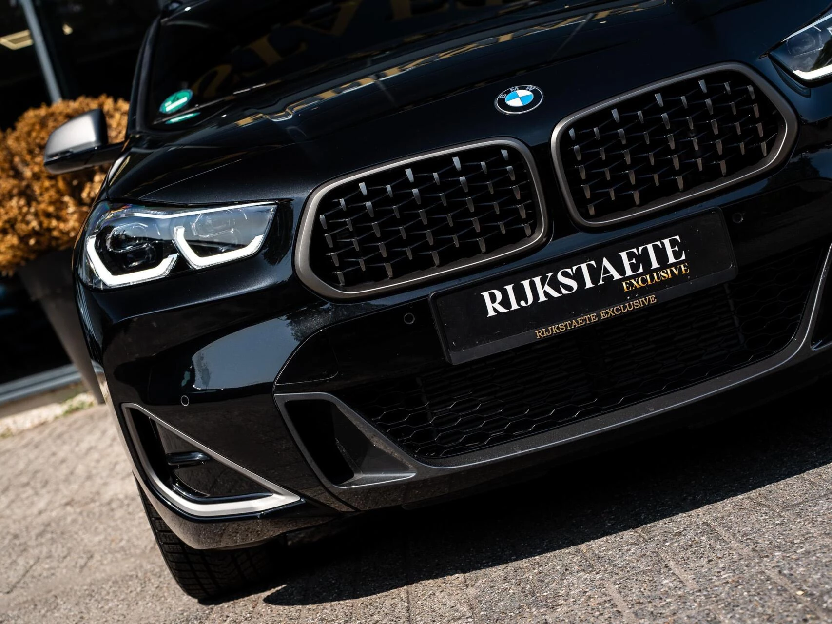 Hoofdafbeelding BMW X2