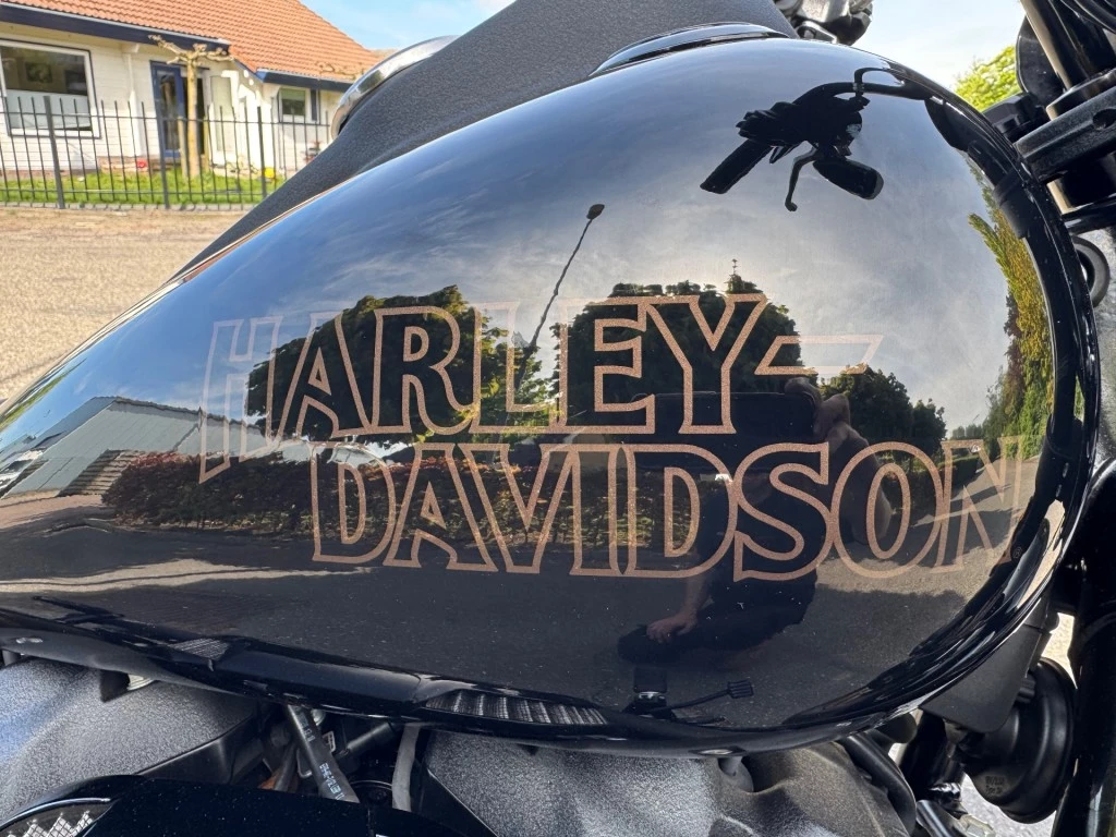 Hoofdafbeelding Harley-Davidson Low Rider