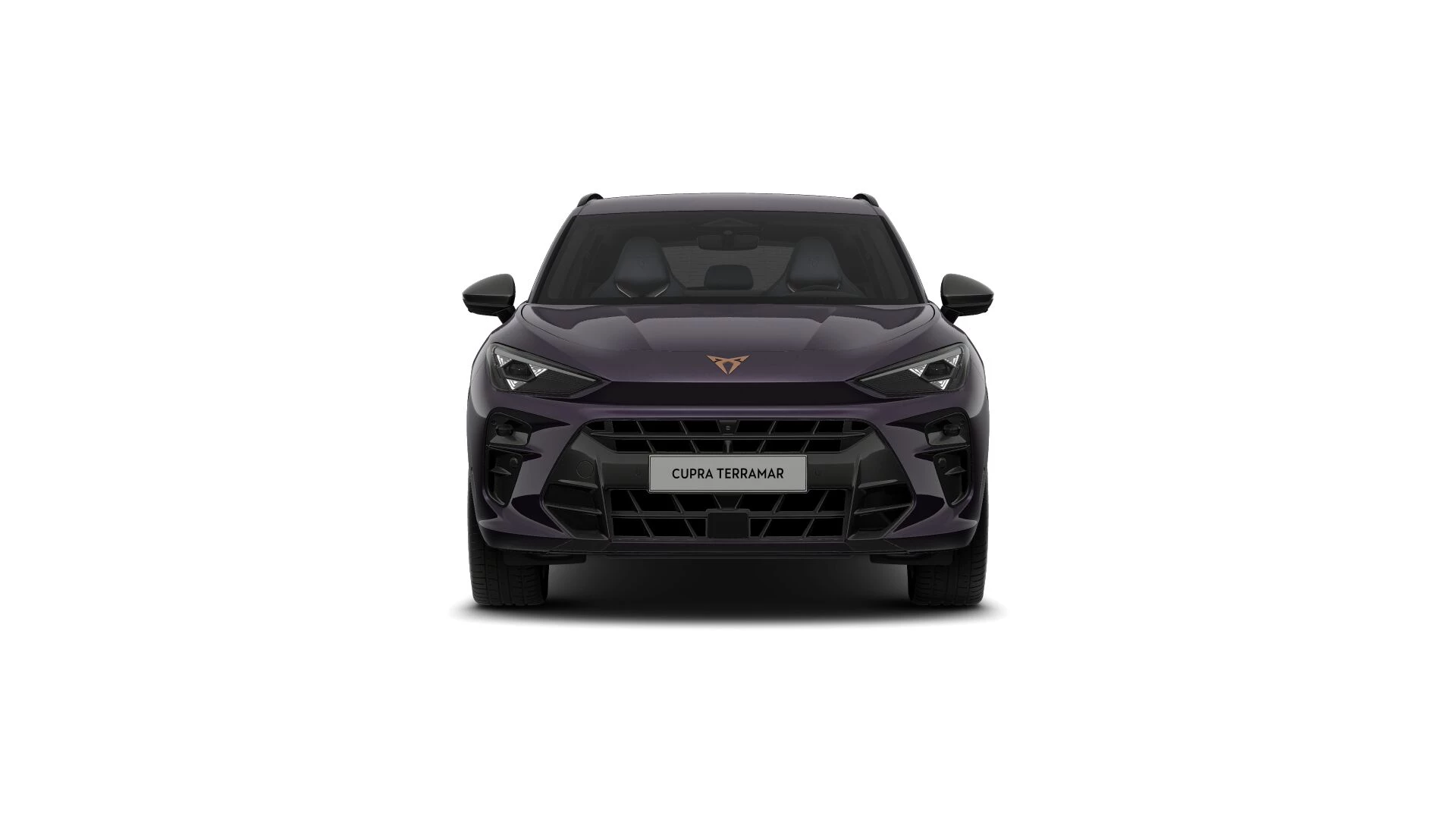 Hoofdafbeelding CUPRA Terramar