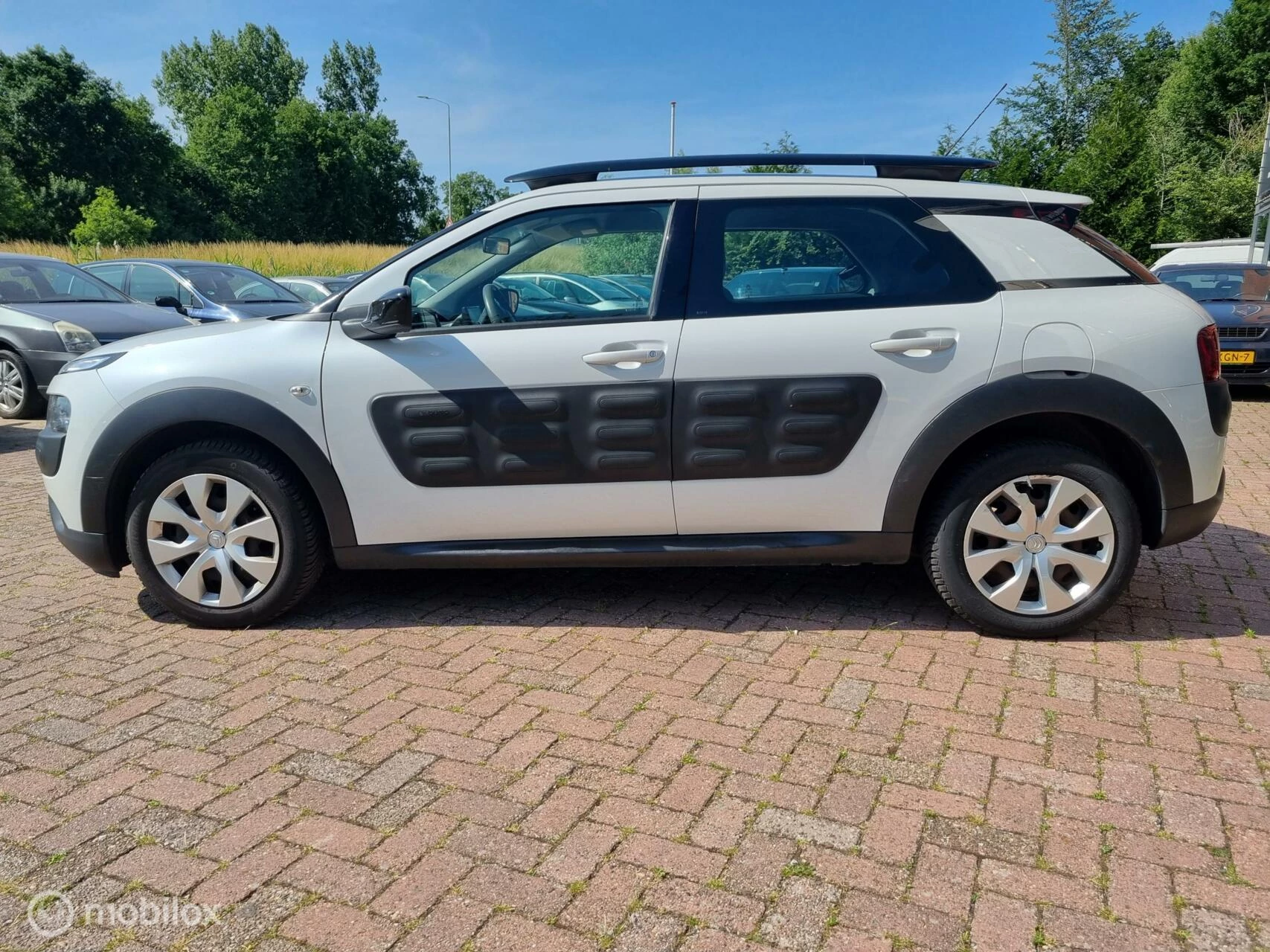 Hoofdafbeelding Citroën C4 Cactus