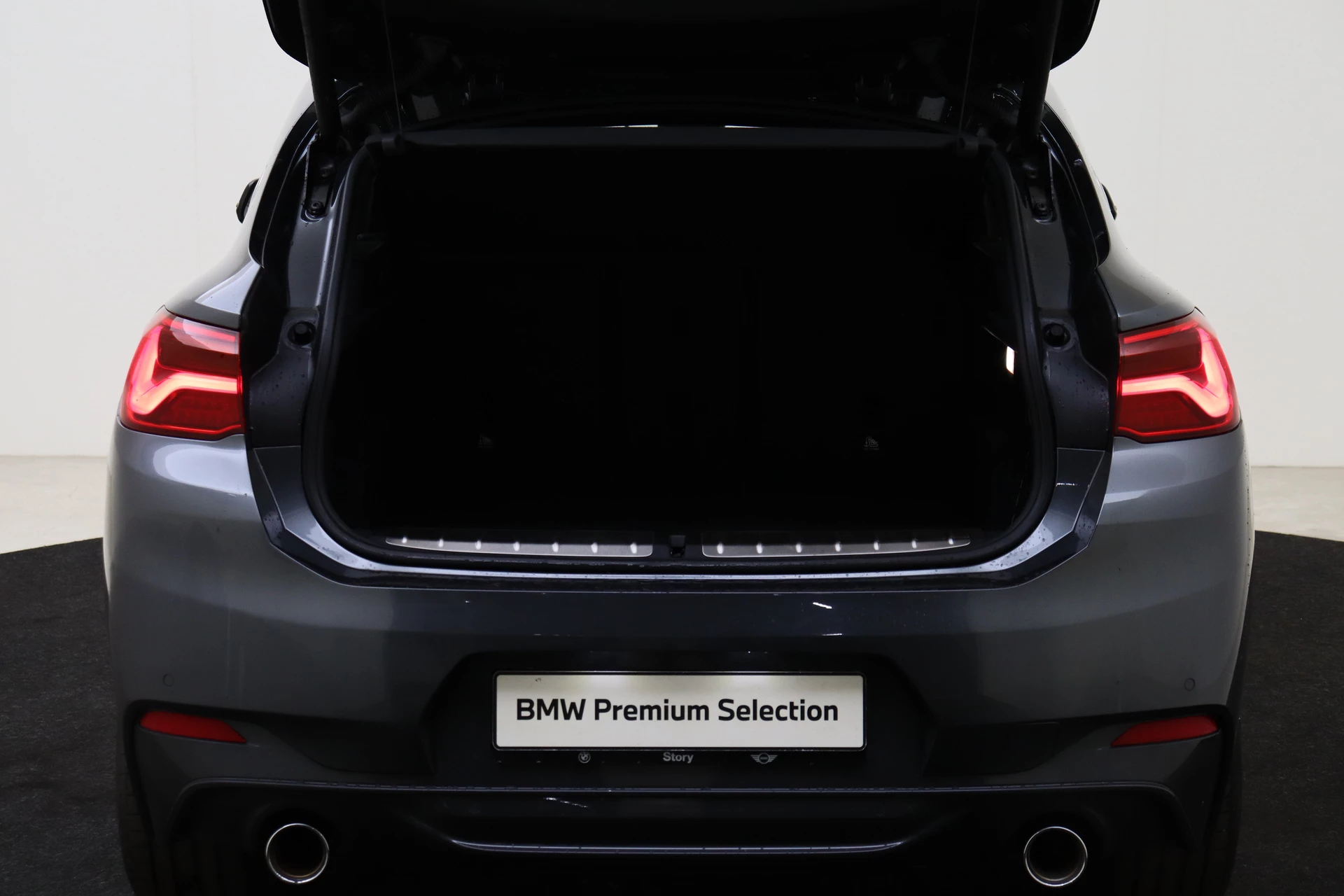 Hoofdafbeelding BMW X2