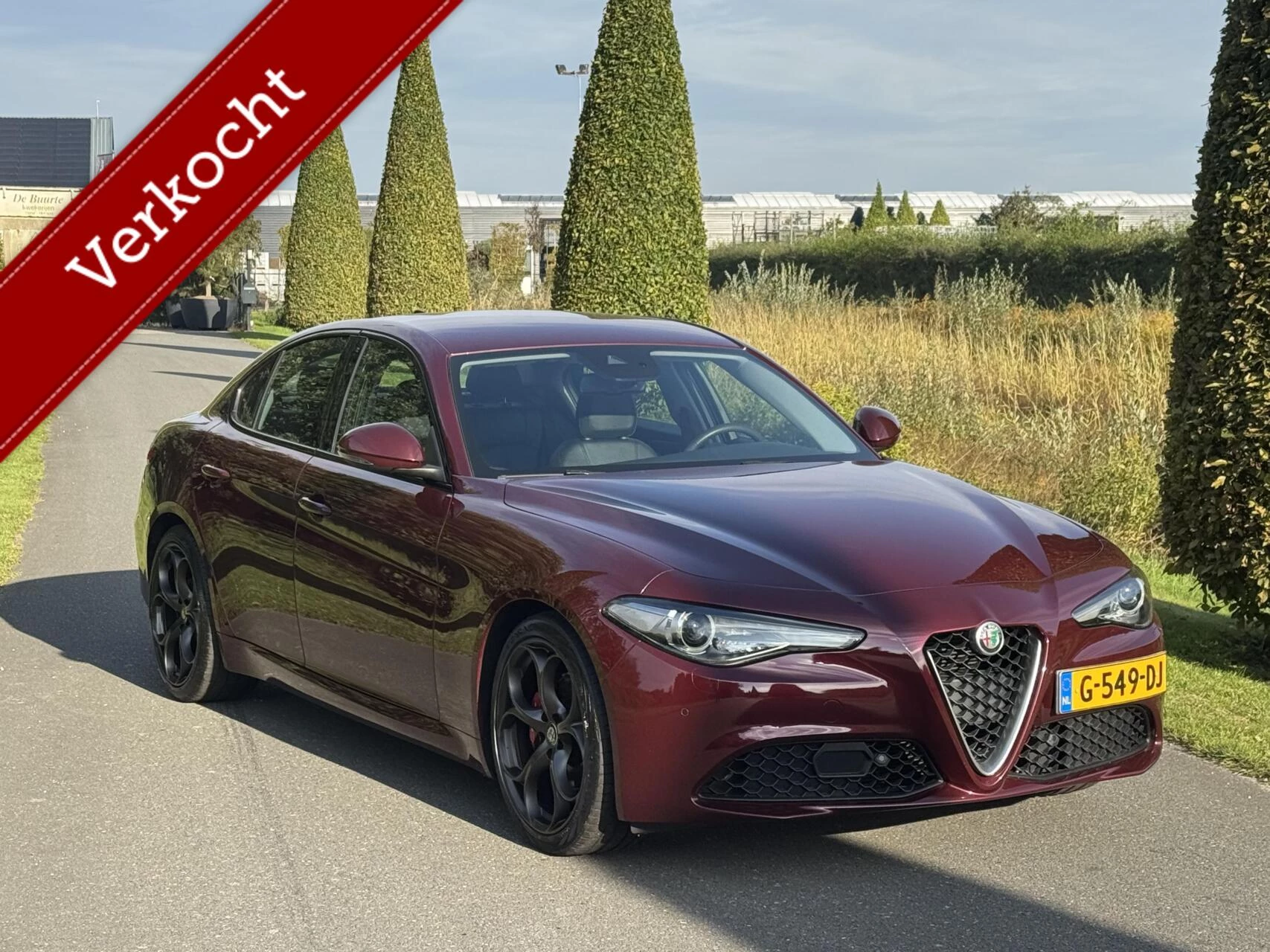 Hoofdafbeelding Alfa Romeo Giulia