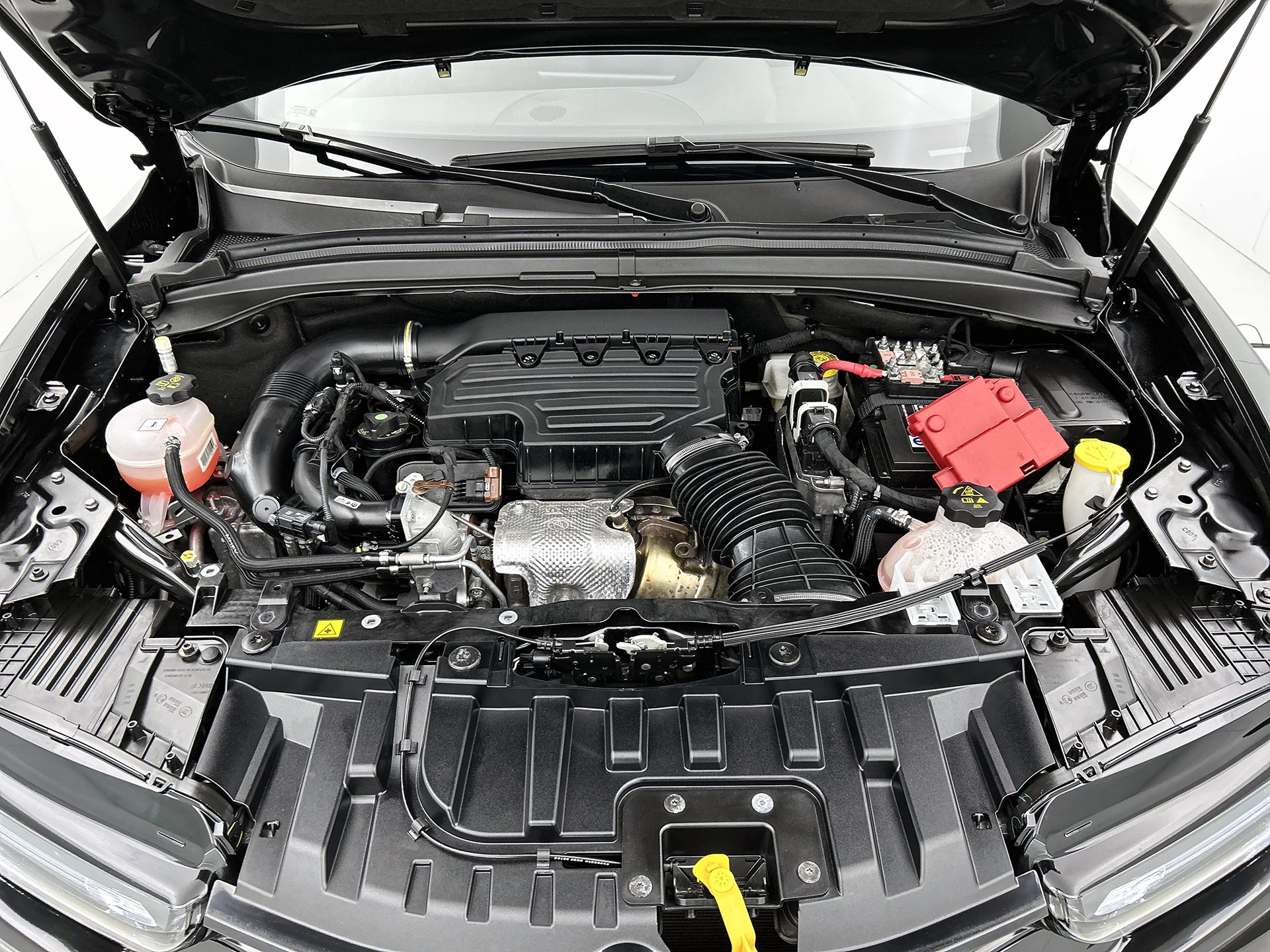 Hoofdafbeelding Alfa Romeo Tonale