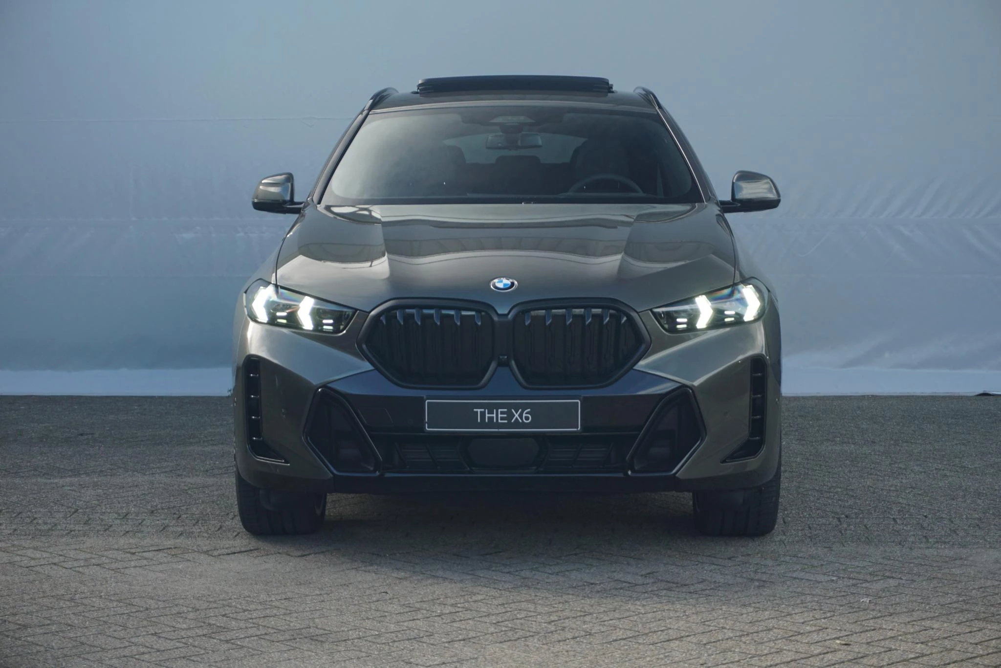 Hoofdafbeelding BMW X6
