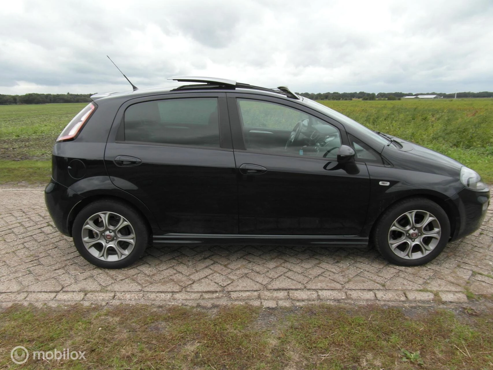 Hoofdafbeelding Fiat Punto