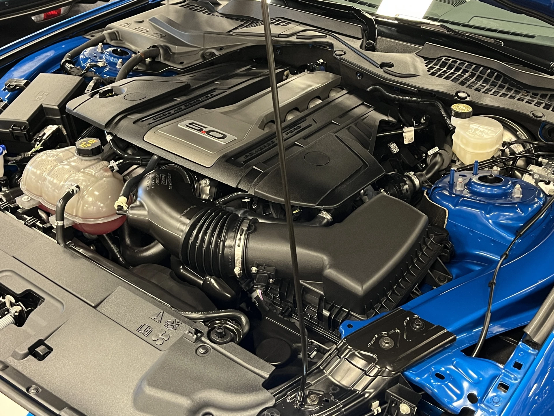Hoofdafbeelding Ford Mustang