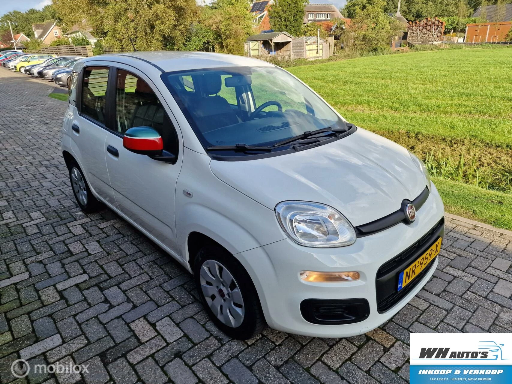 Hoofdafbeelding Fiat Panda