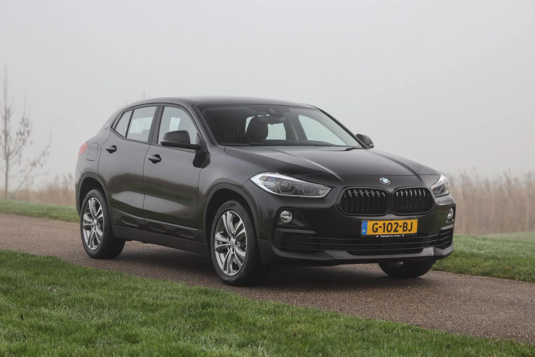 Hoofdafbeelding BMW X2