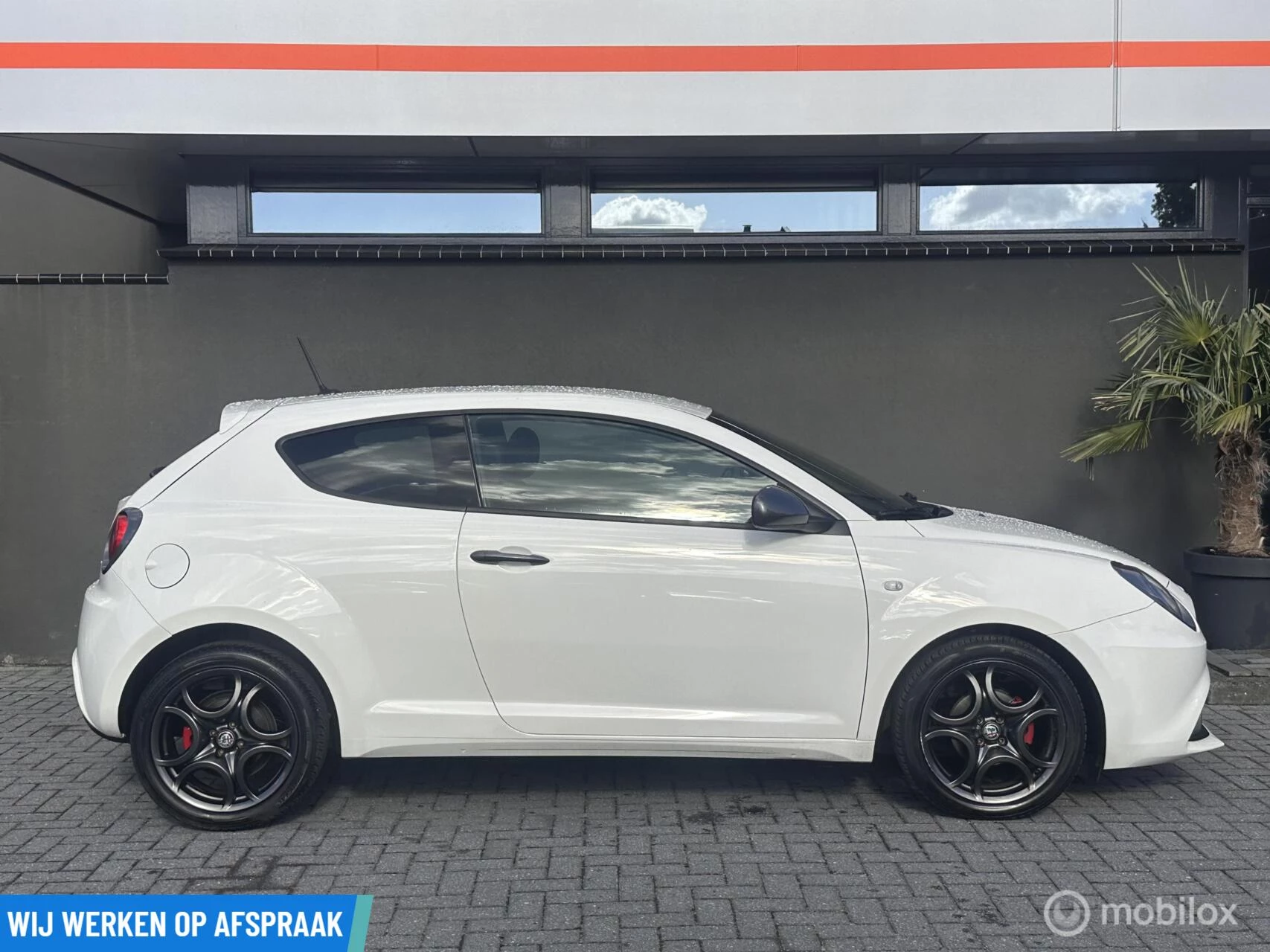 Hoofdafbeelding Alfa Romeo MiTo