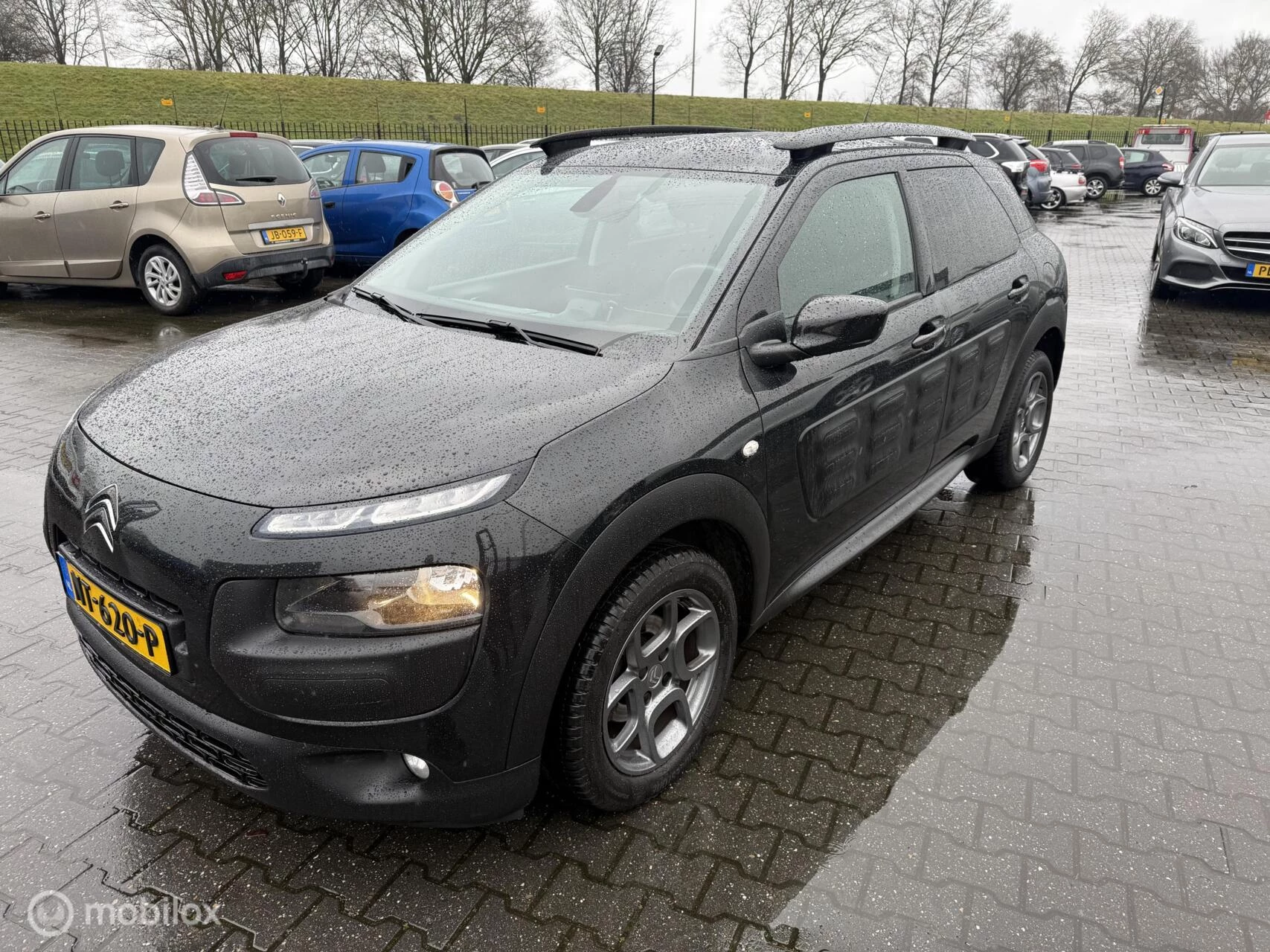 Hoofdafbeelding Citroën C4 Cactus