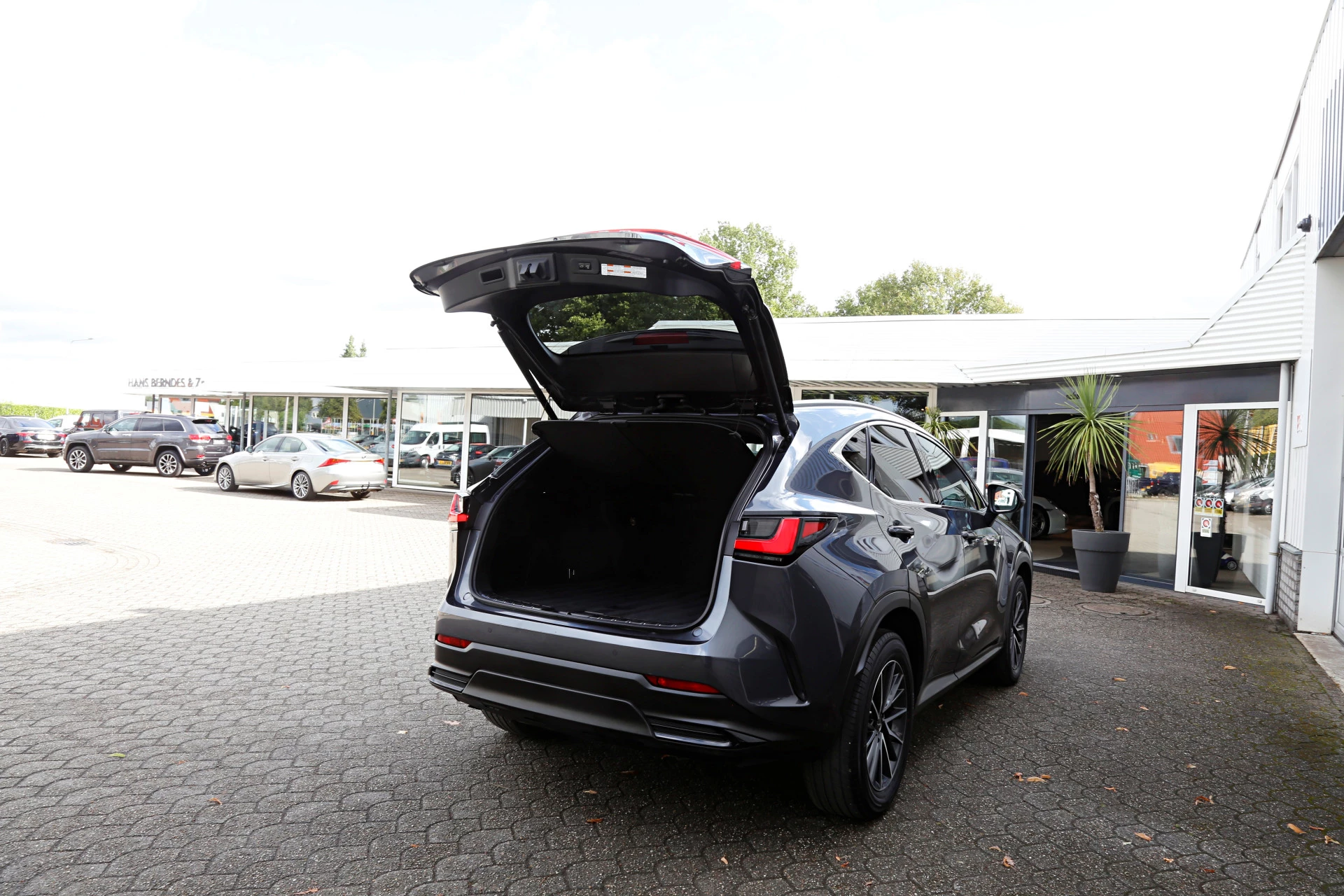 Hoofdafbeelding Lexus NX