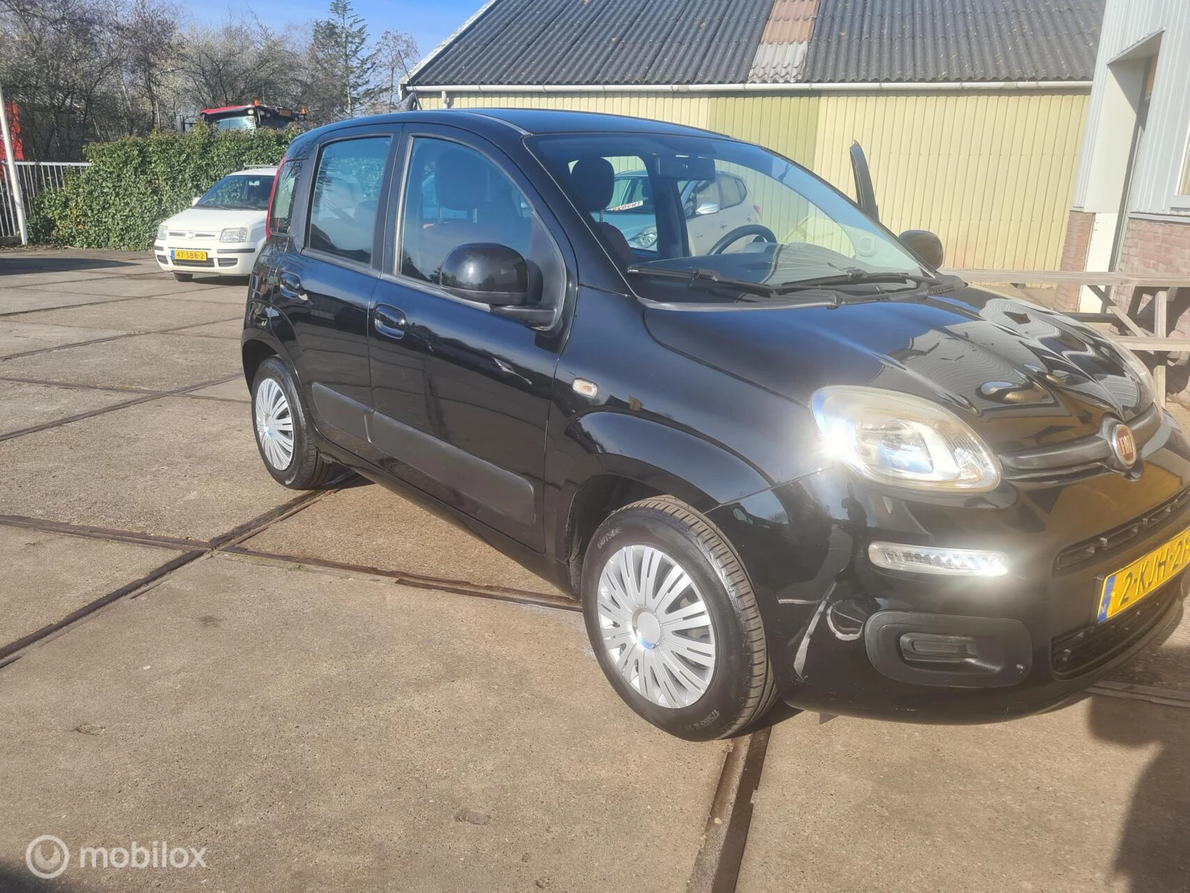 Hoofdafbeelding Fiat Panda