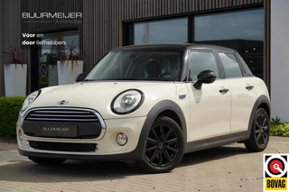 Mini Mini 1.2 One Salt Business - Dealer onderhouden - Cruise control - LED verlichting - Climate Control - Multifunctioneel stuurwiel -