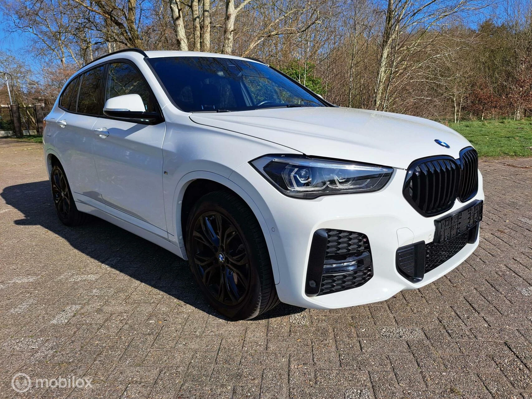 Hoofdafbeelding BMW X1