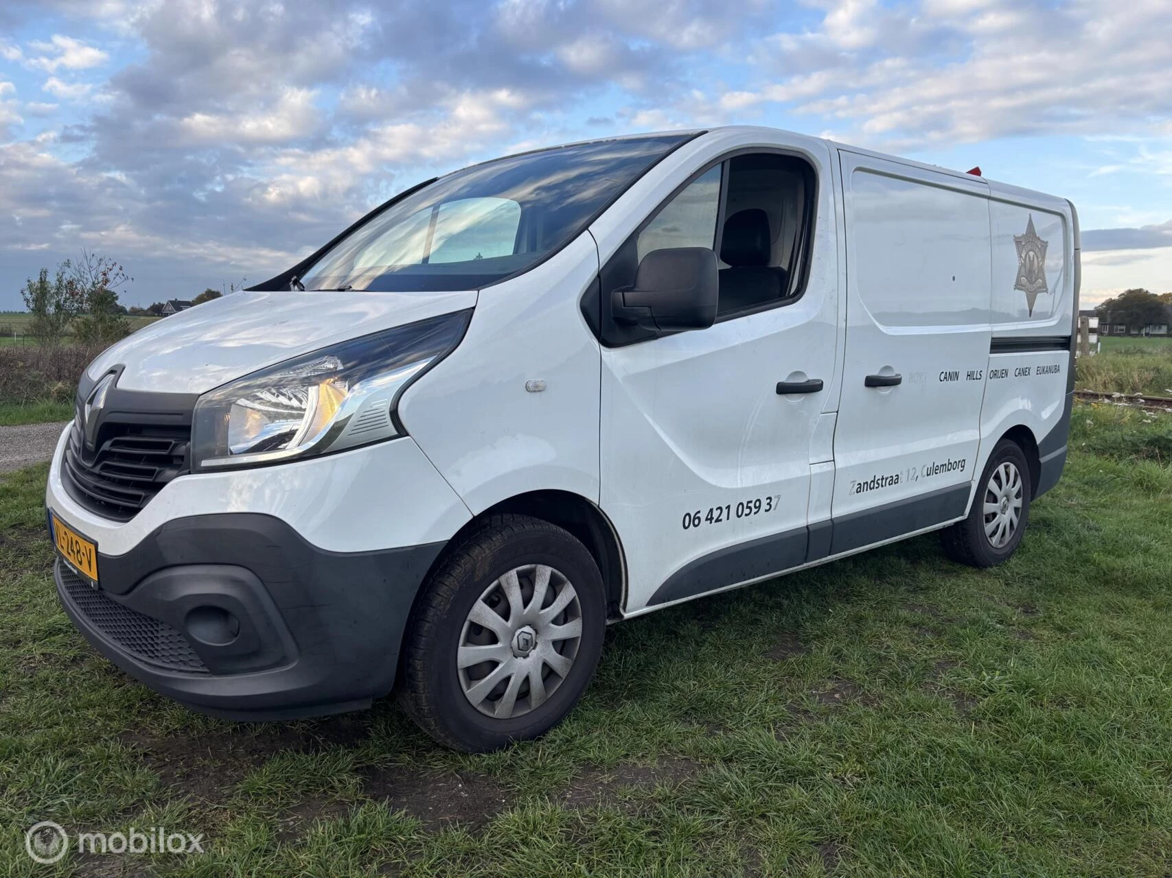 Hoofdafbeelding Renault Trafic