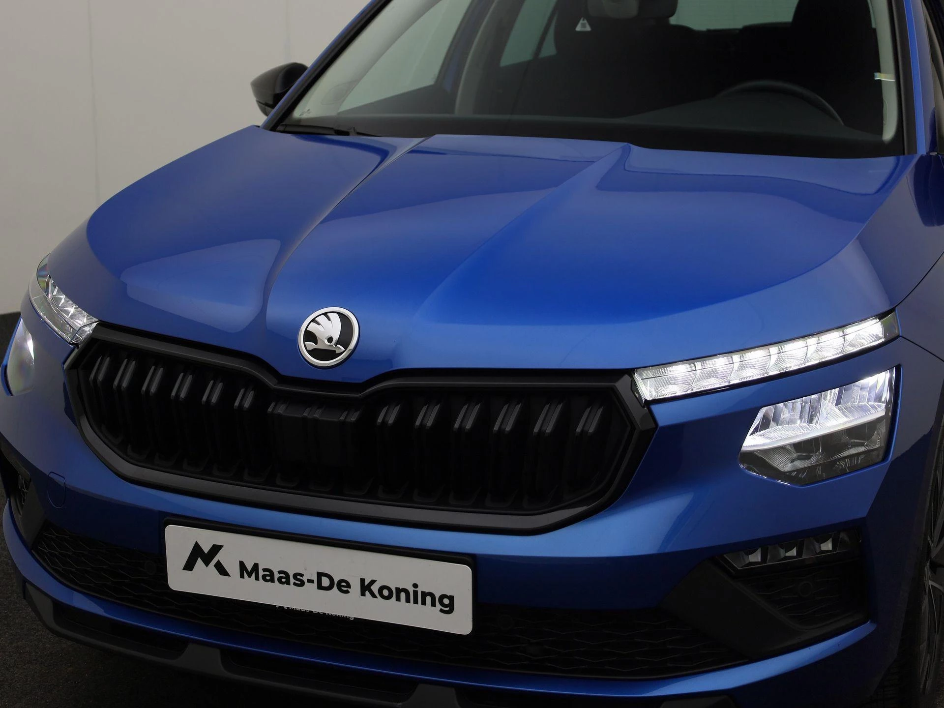 Hoofdafbeelding Škoda Kamiq