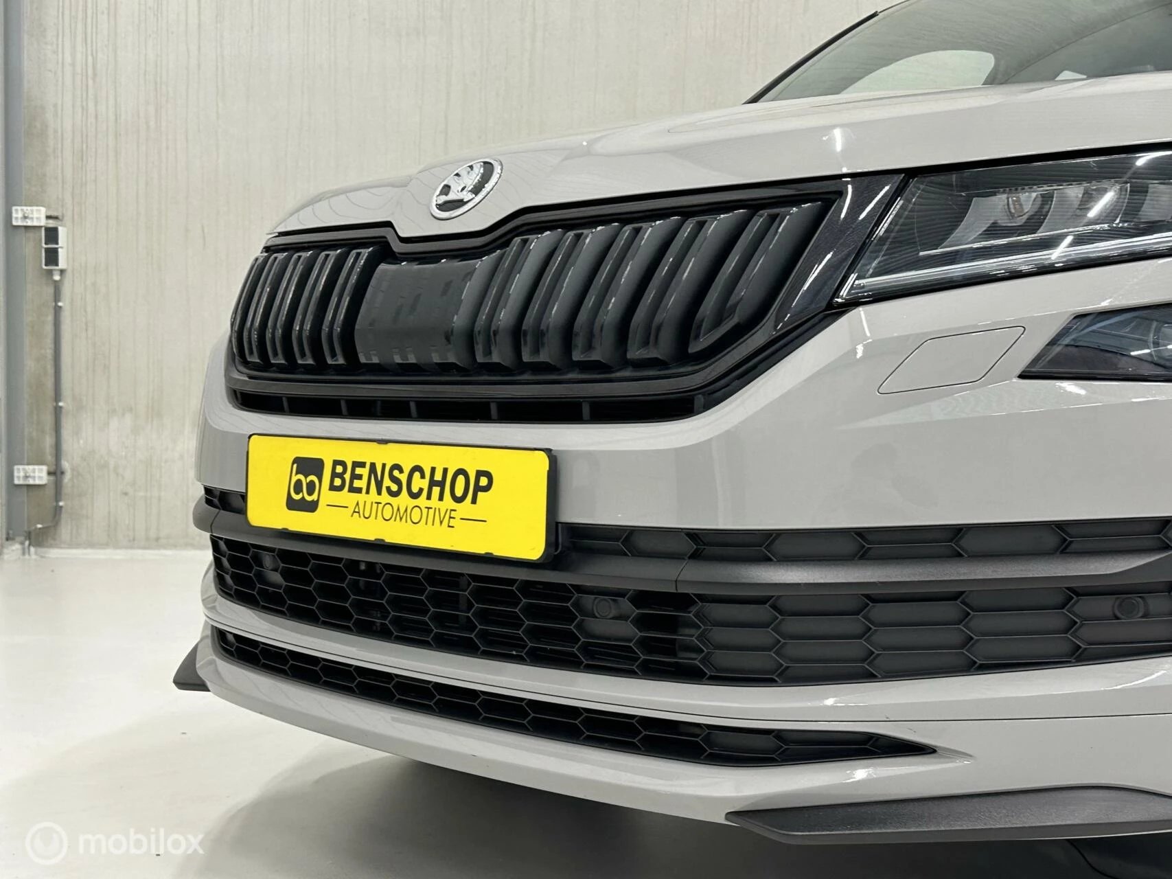 Hoofdafbeelding Škoda Kodiaq