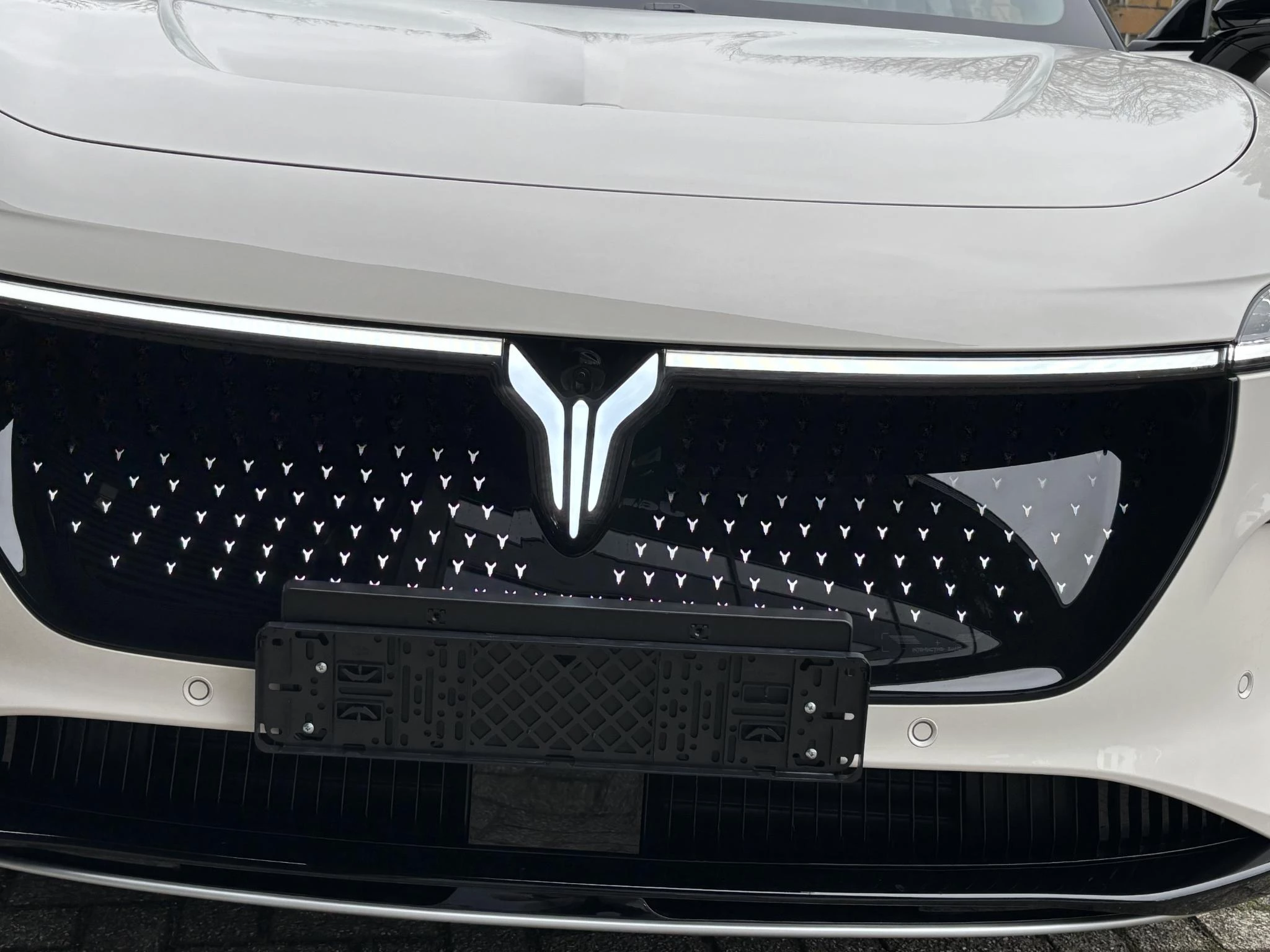 Hoofdafbeelding Voyah Courage