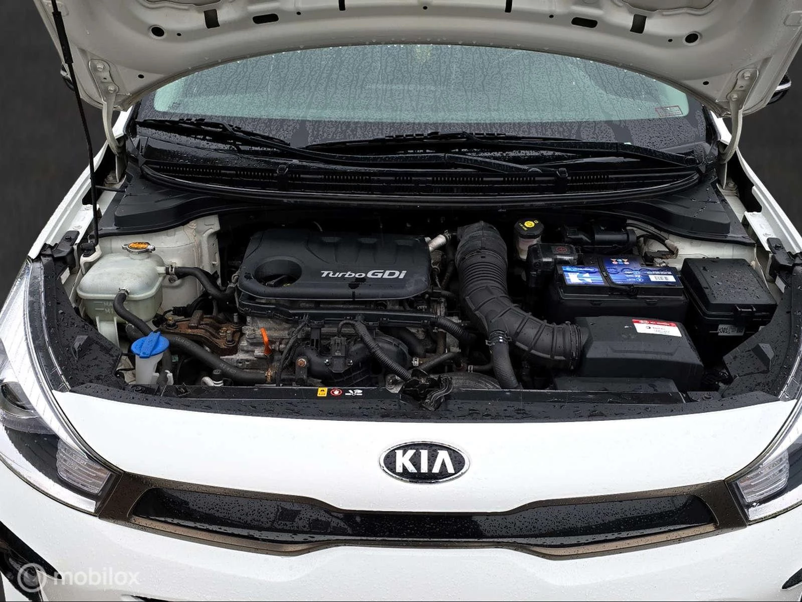 Hoofdafbeelding Kia Rio