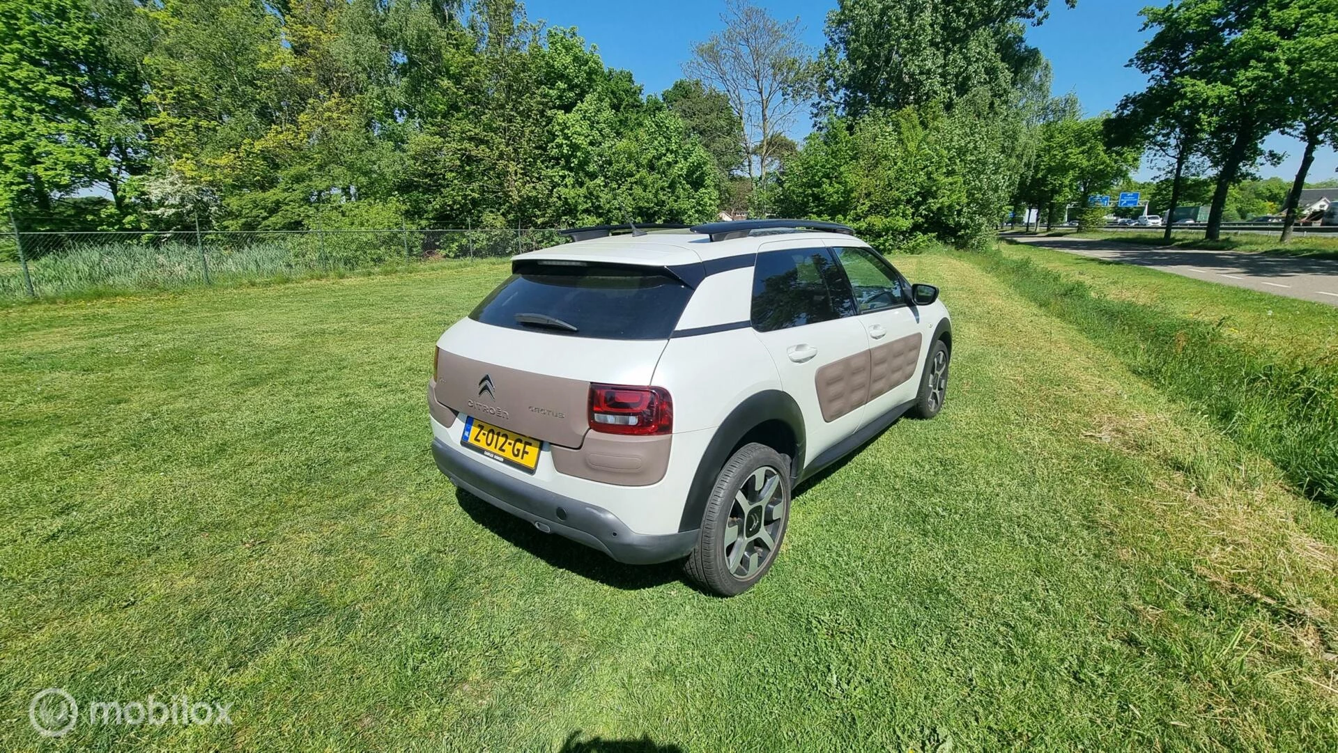 Hoofdafbeelding Citroën C4 Cactus