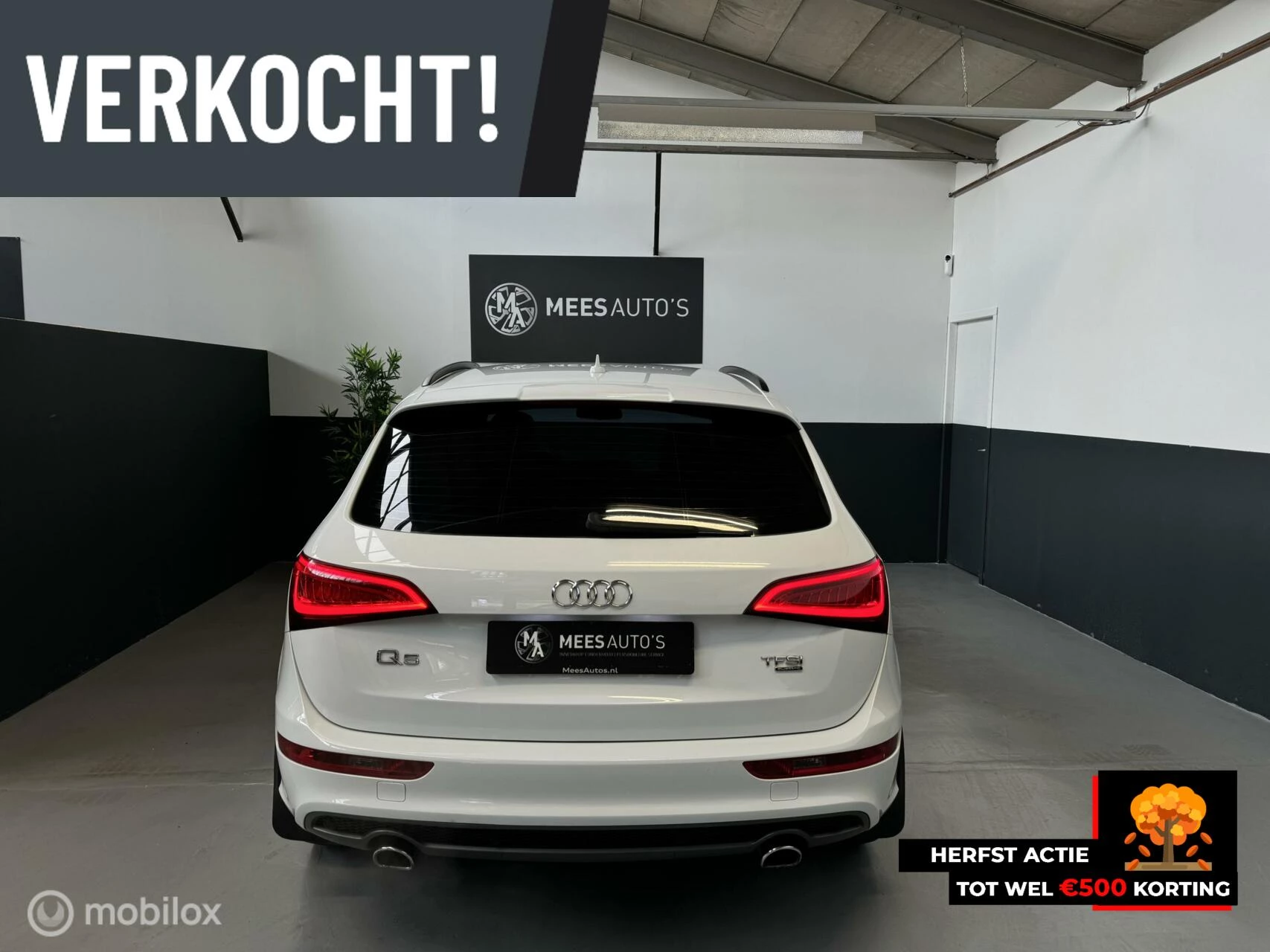 Hoofdafbeelding Audi Q5