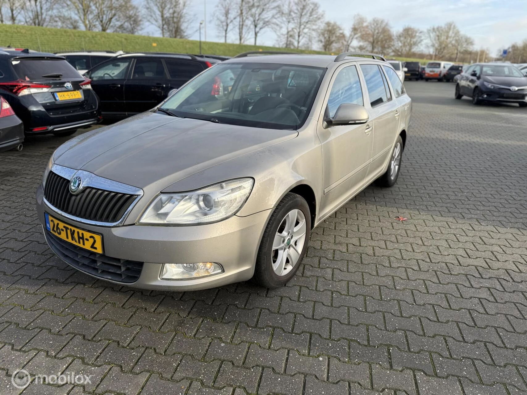 Hoofdafbeelding Škoda Octavia