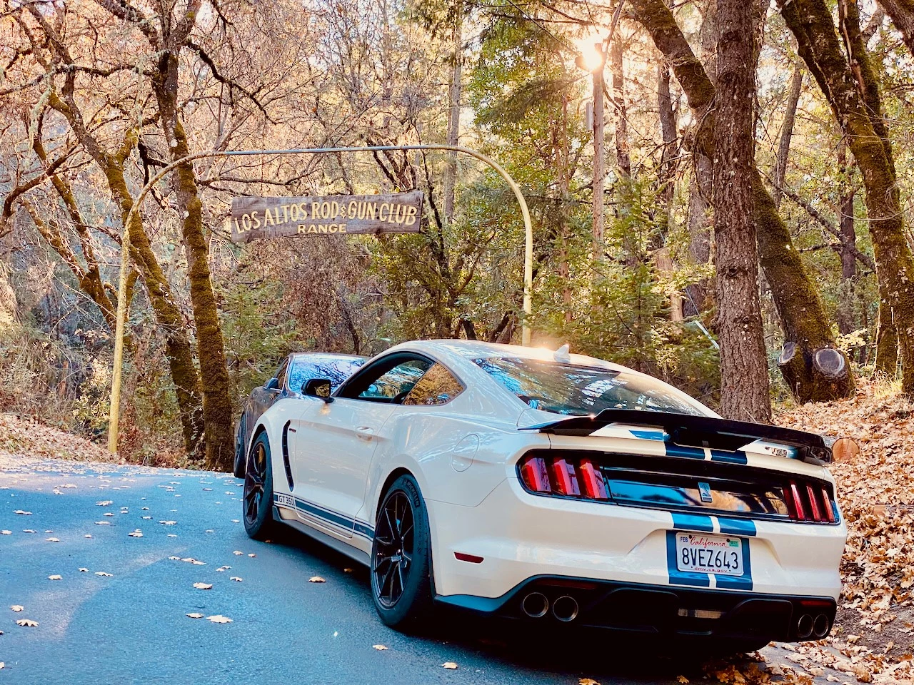 Hoofdafbeelding Ford Mustang
