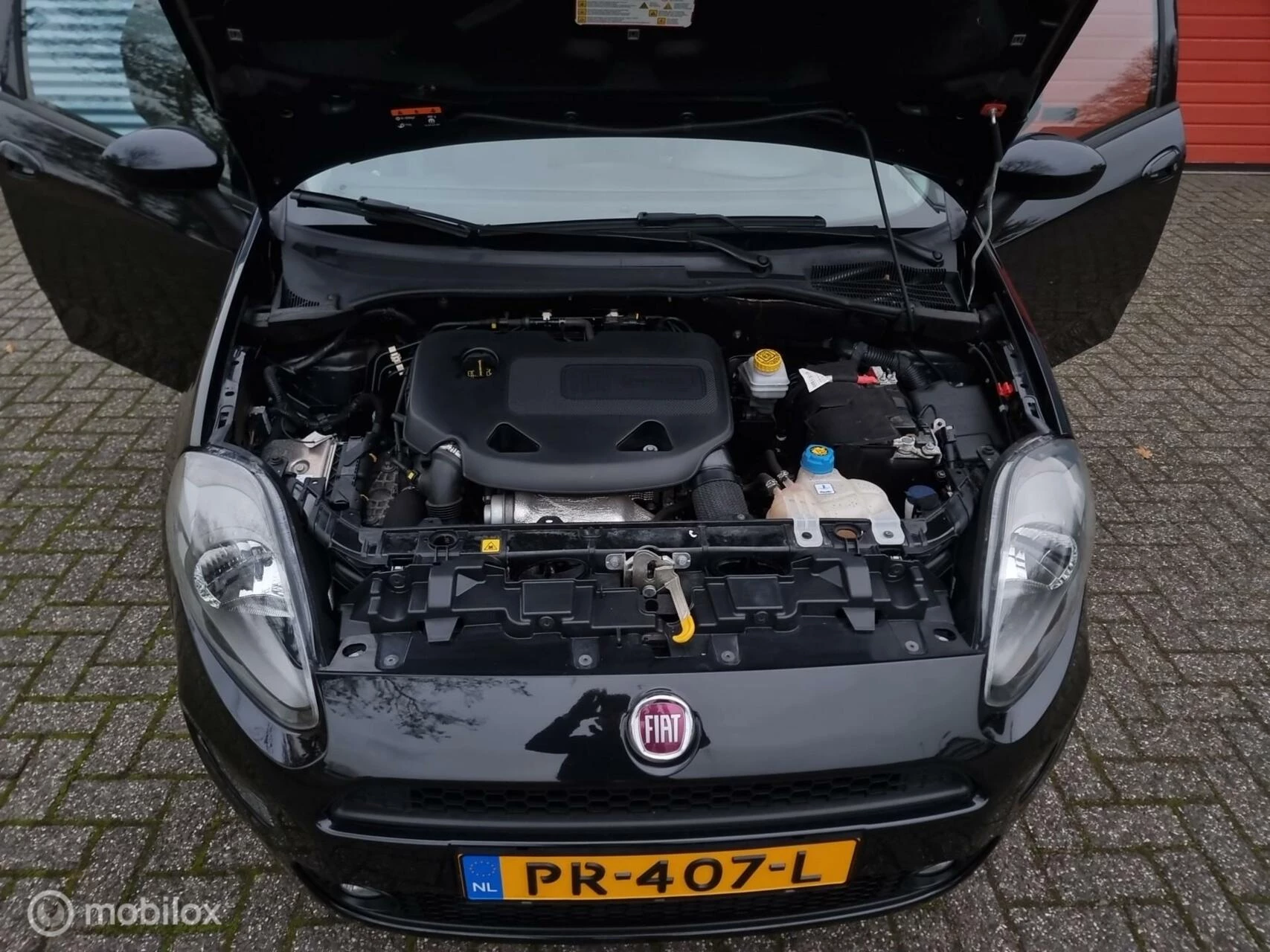 Hoofdafbeelding Fiat Punto