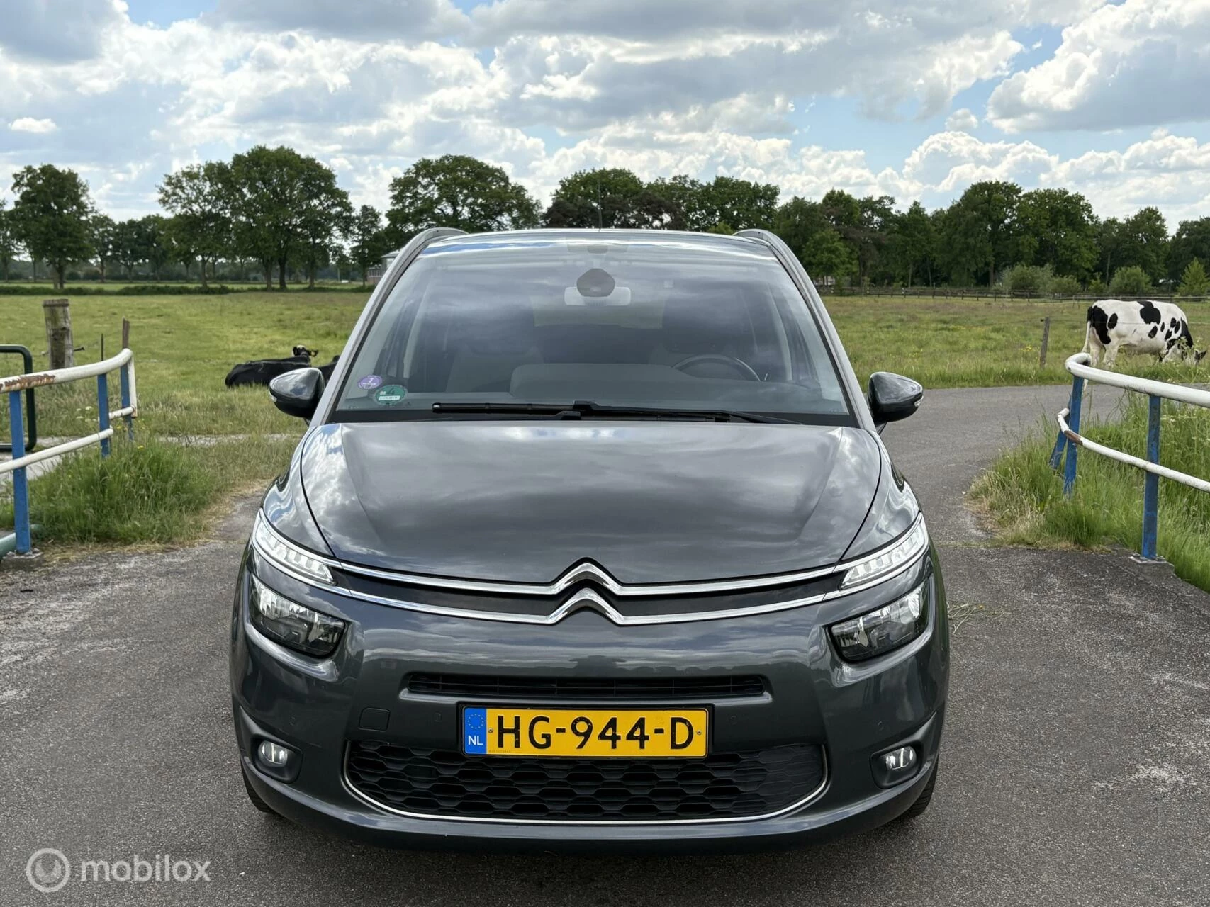 Hoofdafbeelding Citroën Grand C4 Picasso