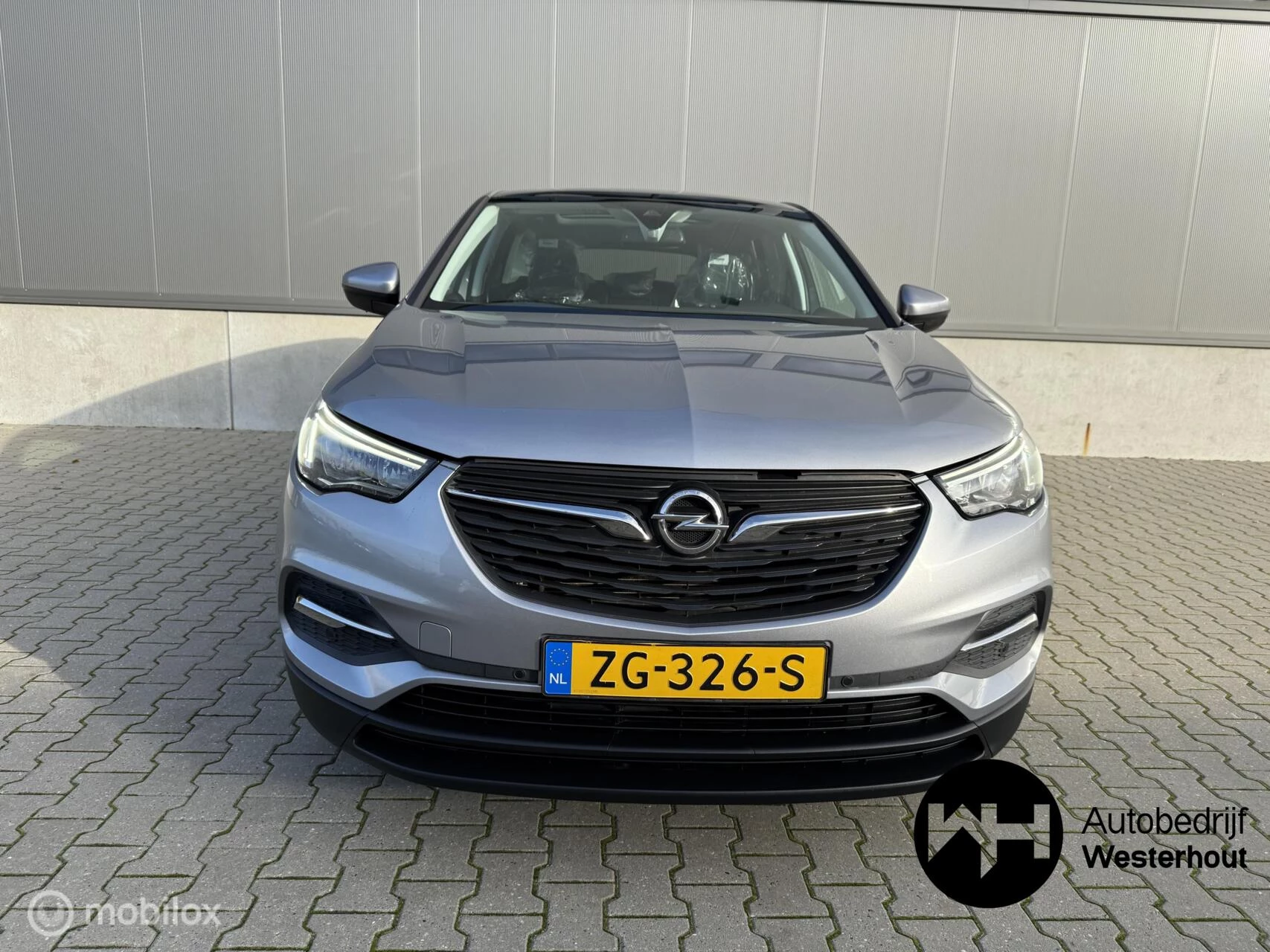 Hoofdafbeelding Opel Grandland X