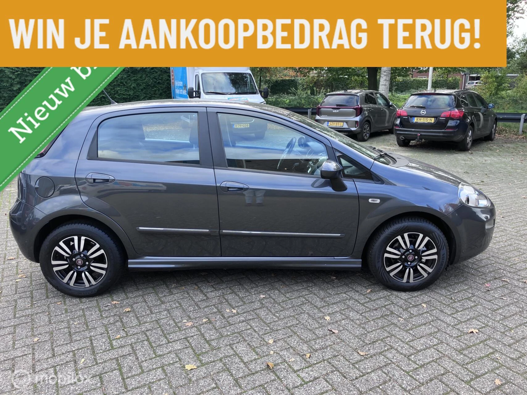 Hoofdafbeelding Fiat Punto