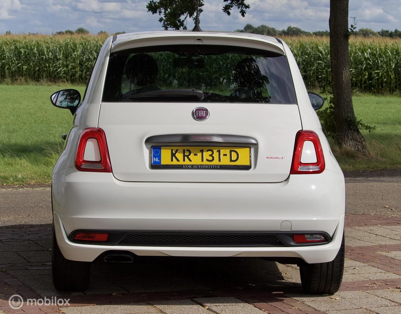 Hoofdafbeelding Fiat 500
