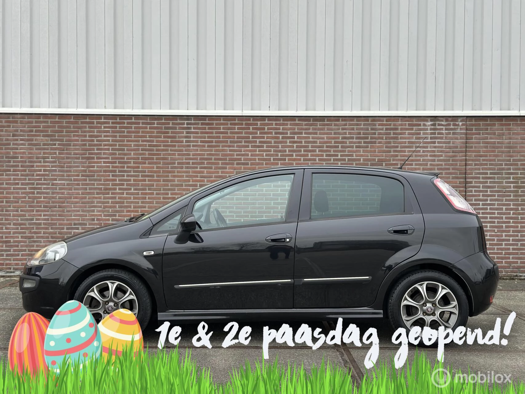 Hoofdafbeelding Fiat Punto