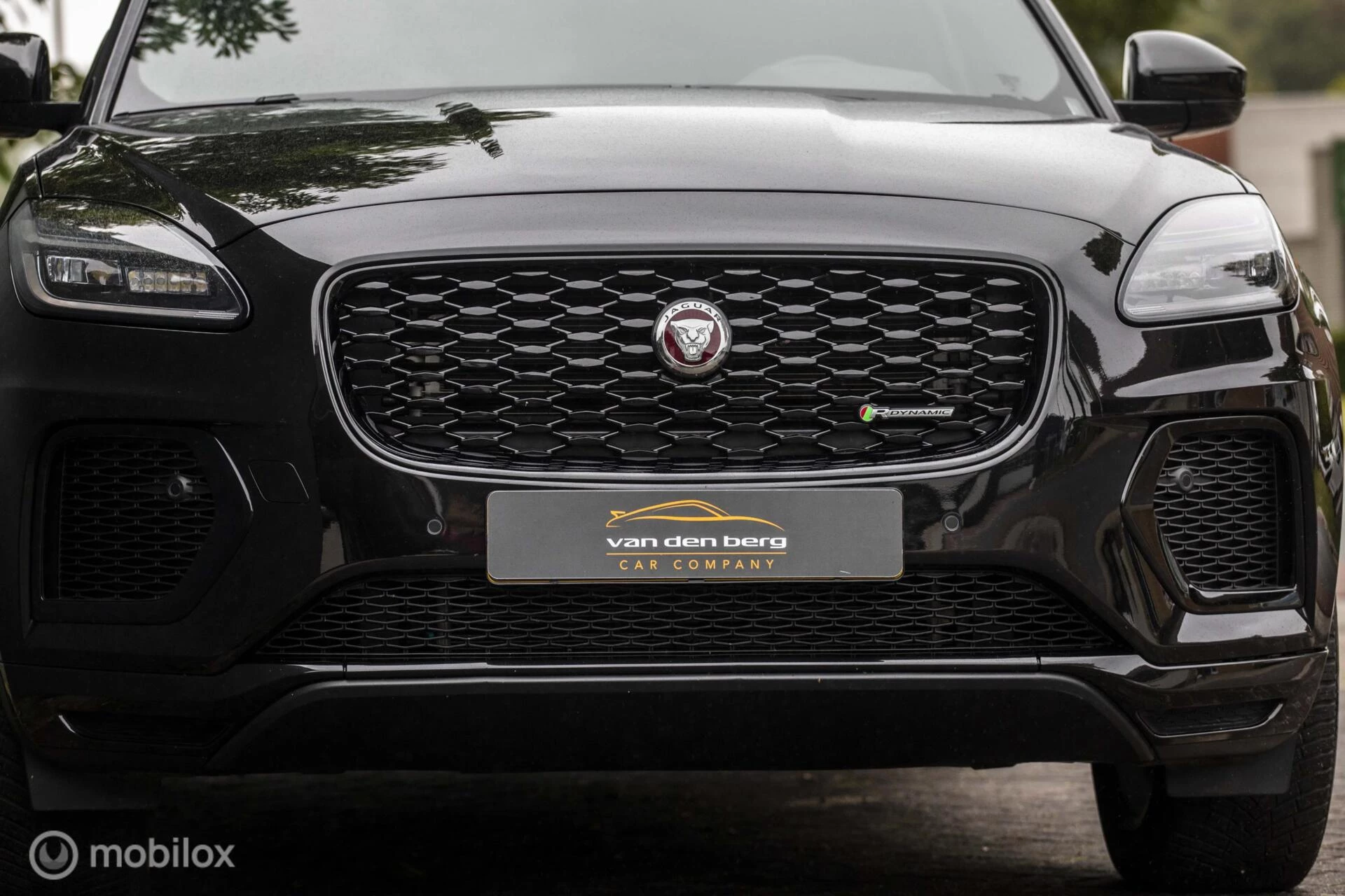 Hoofdafbeelding Jaguar E-PACE