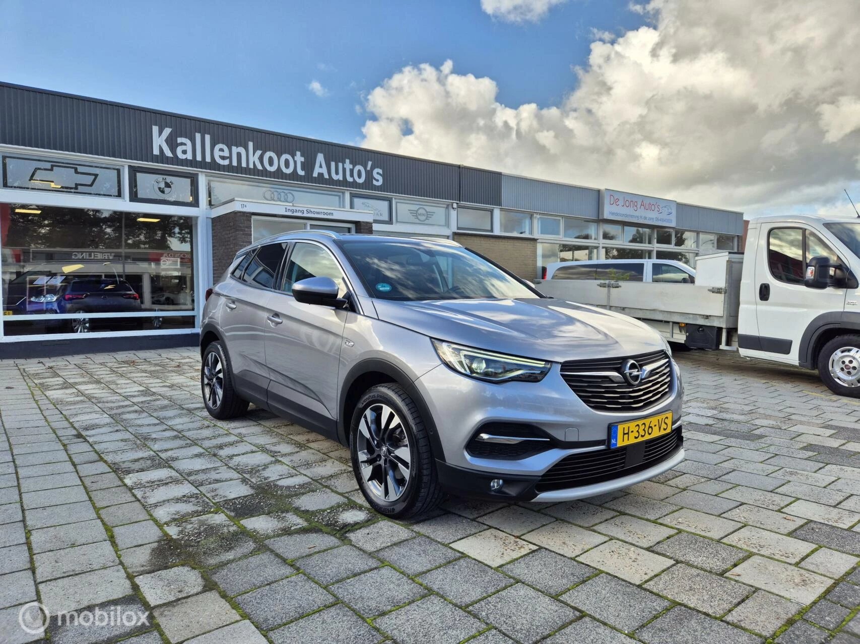 Hoofdafbeelding Opel Grandland X