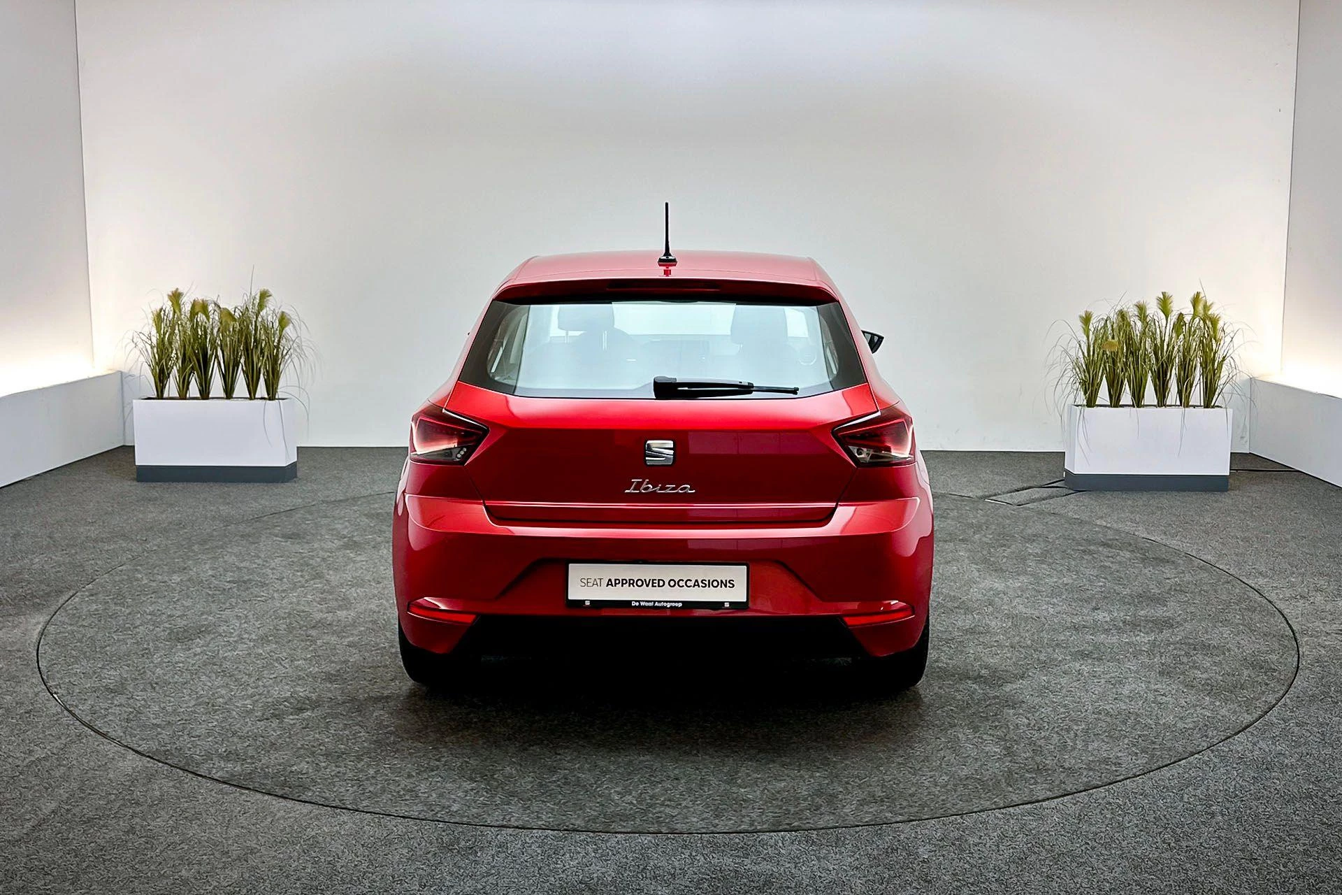 Hoofdafbeelding SEAT Ibiza