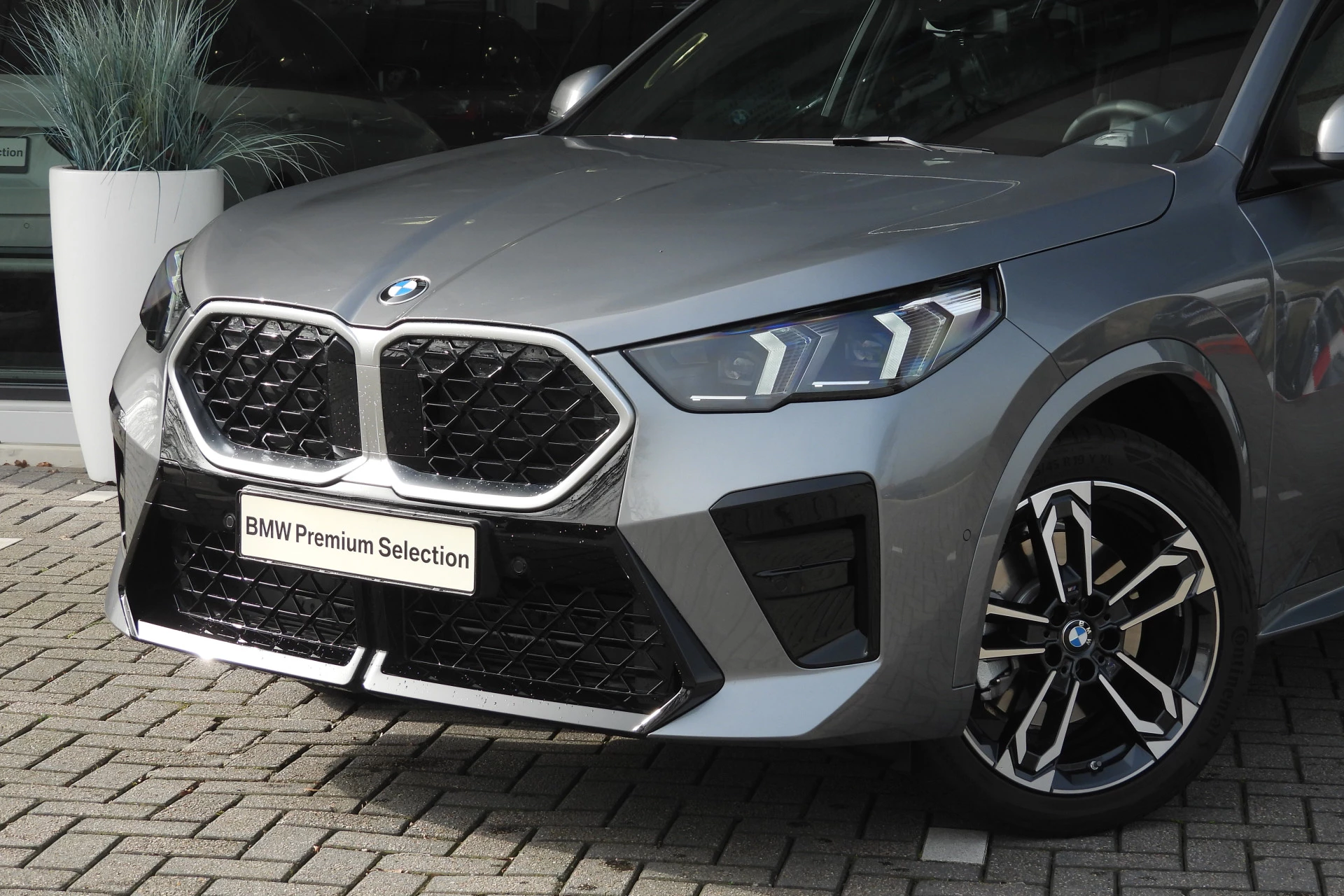 Hoofdafbeelding BMW X2