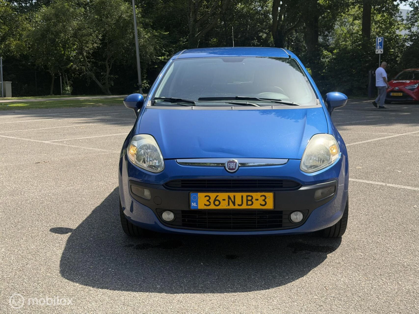 Hoofdafbeelding Fiat Punto
