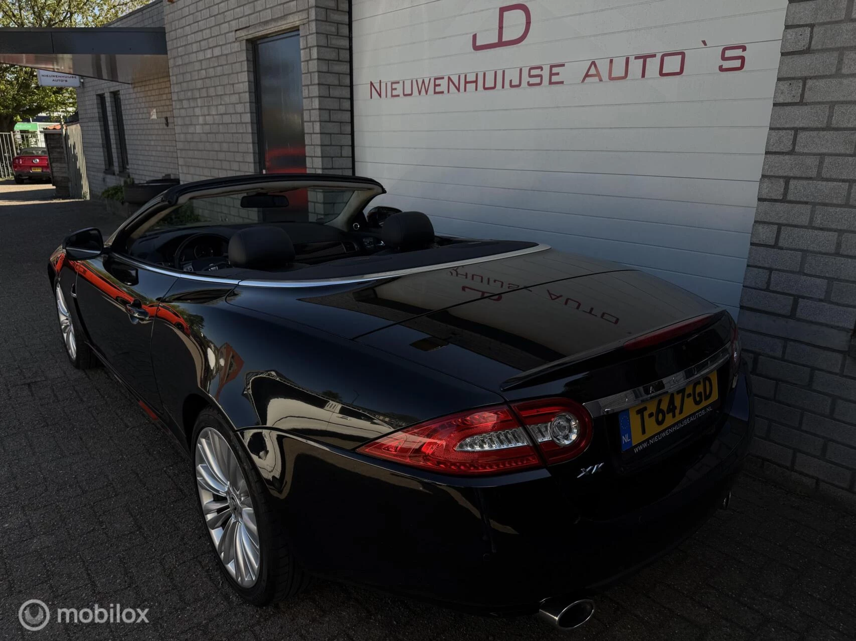 Hoofdafbeelding Jaguar XK