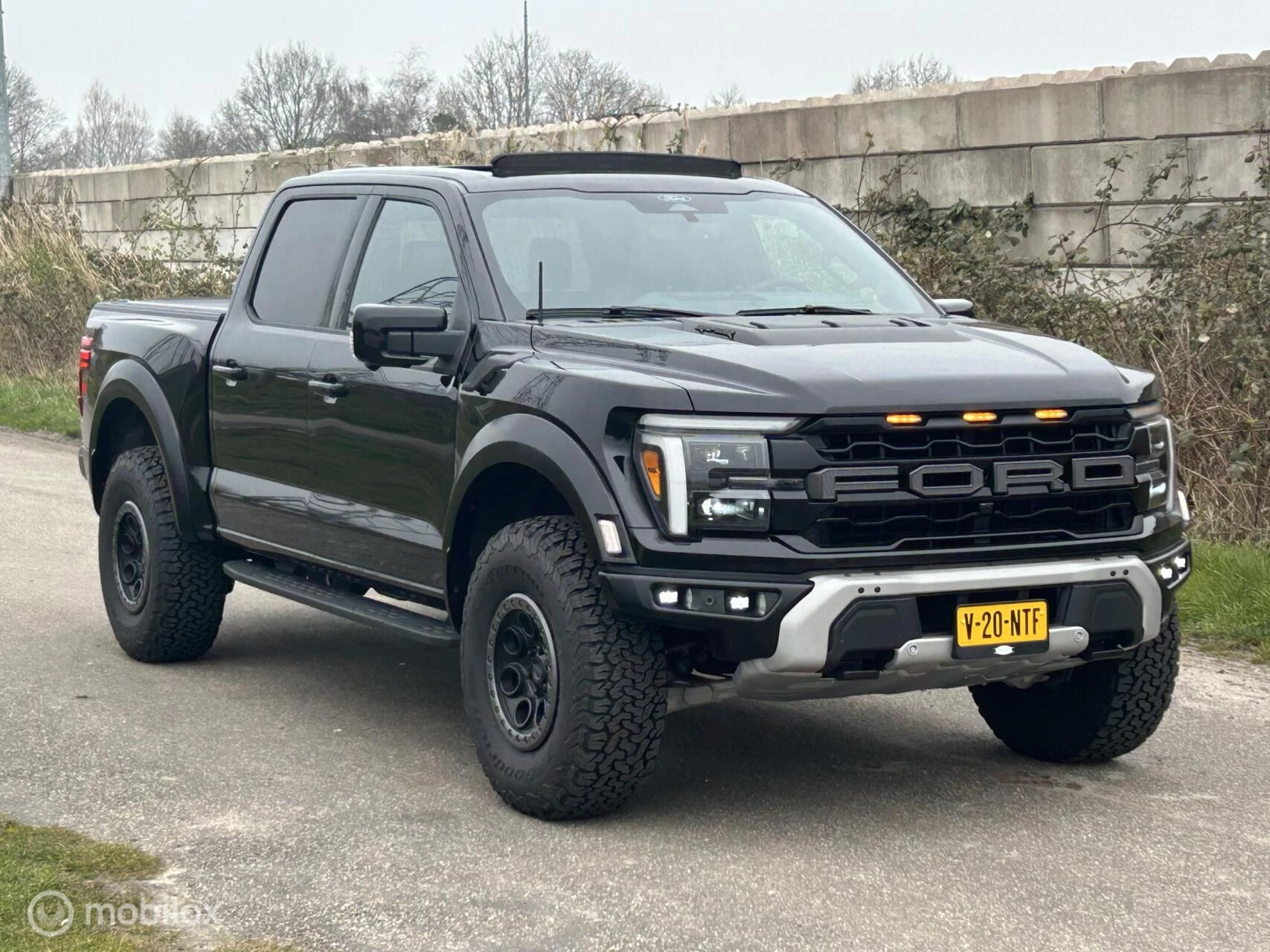 Hoofdafbeelding Ford F-150