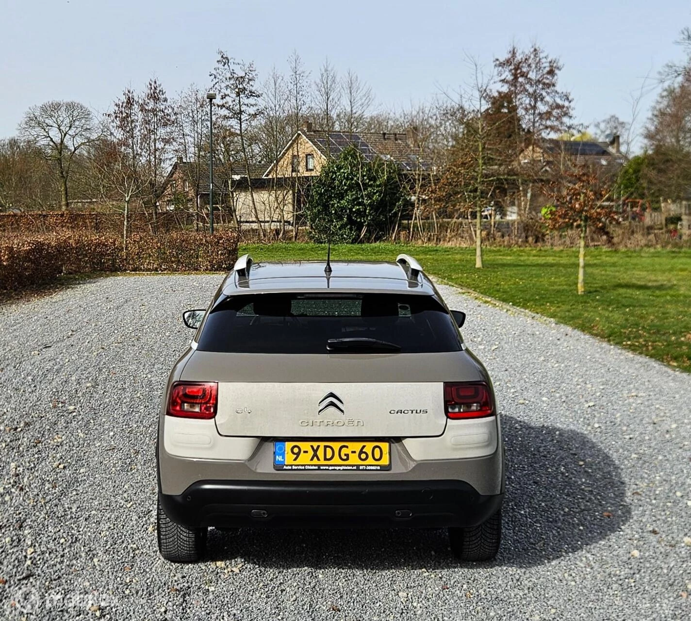 Hoofdafbeelding Citroën C4 Cactus