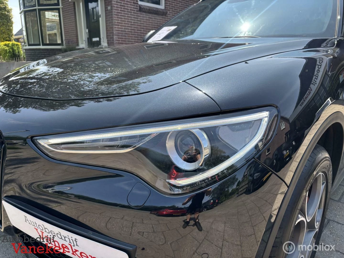 Hoofdafbeelding Alfa Romeo Stelvio