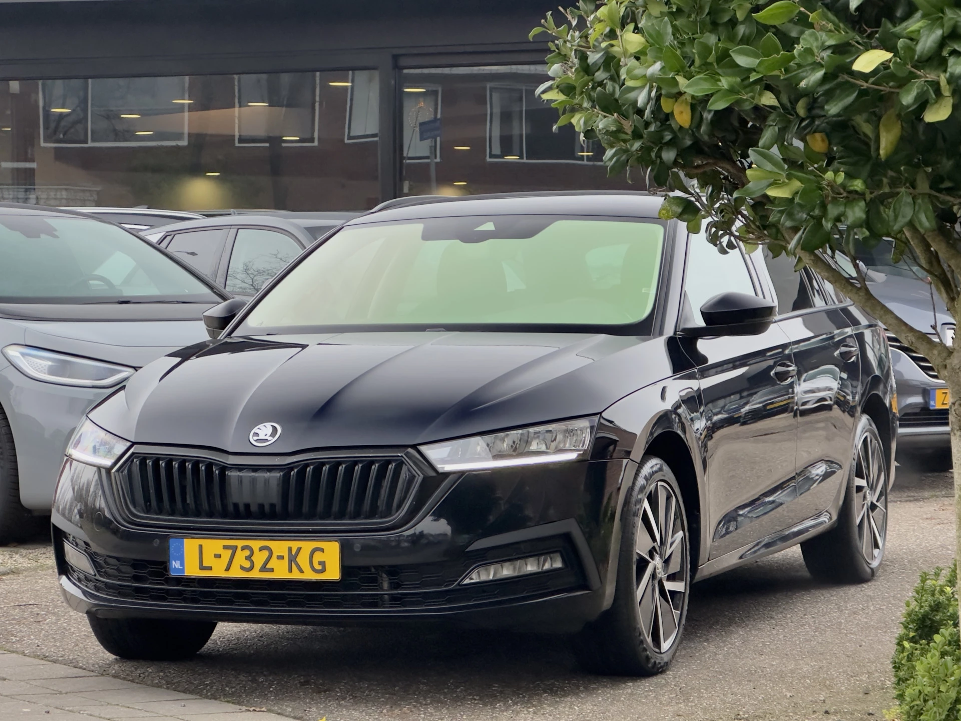 Hoofdafbeelding Škoda Octavia