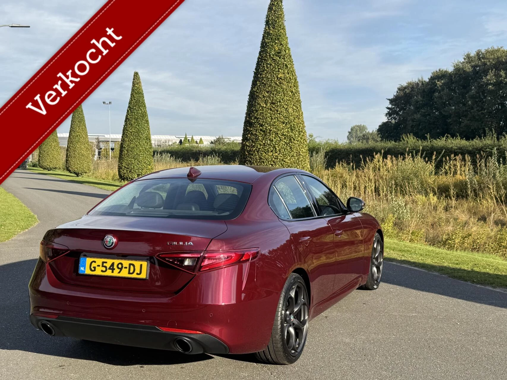 Hoofdafbeelding Alfa Romeo Giulia