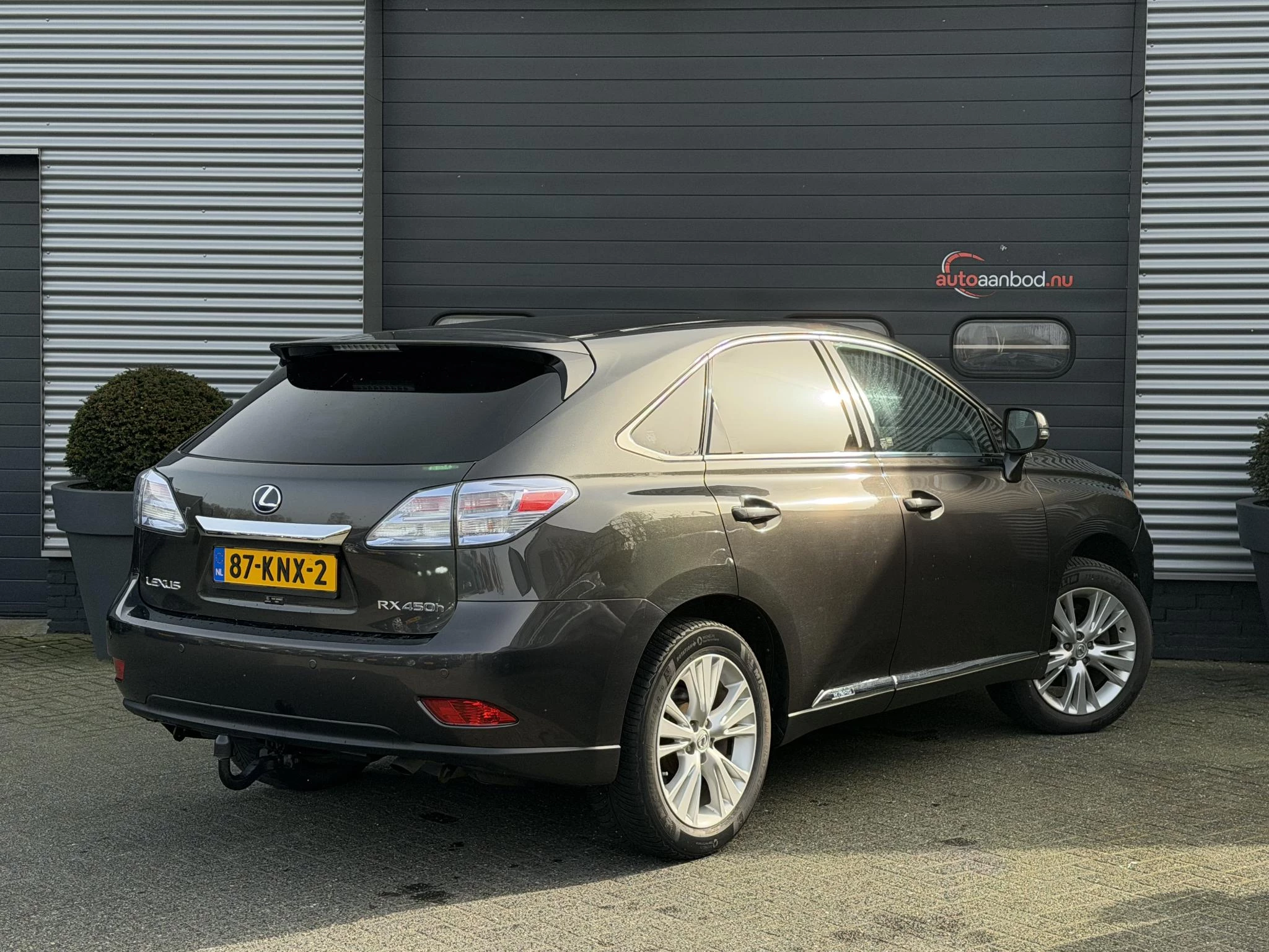 Hoofdafbeelding Lexus RX