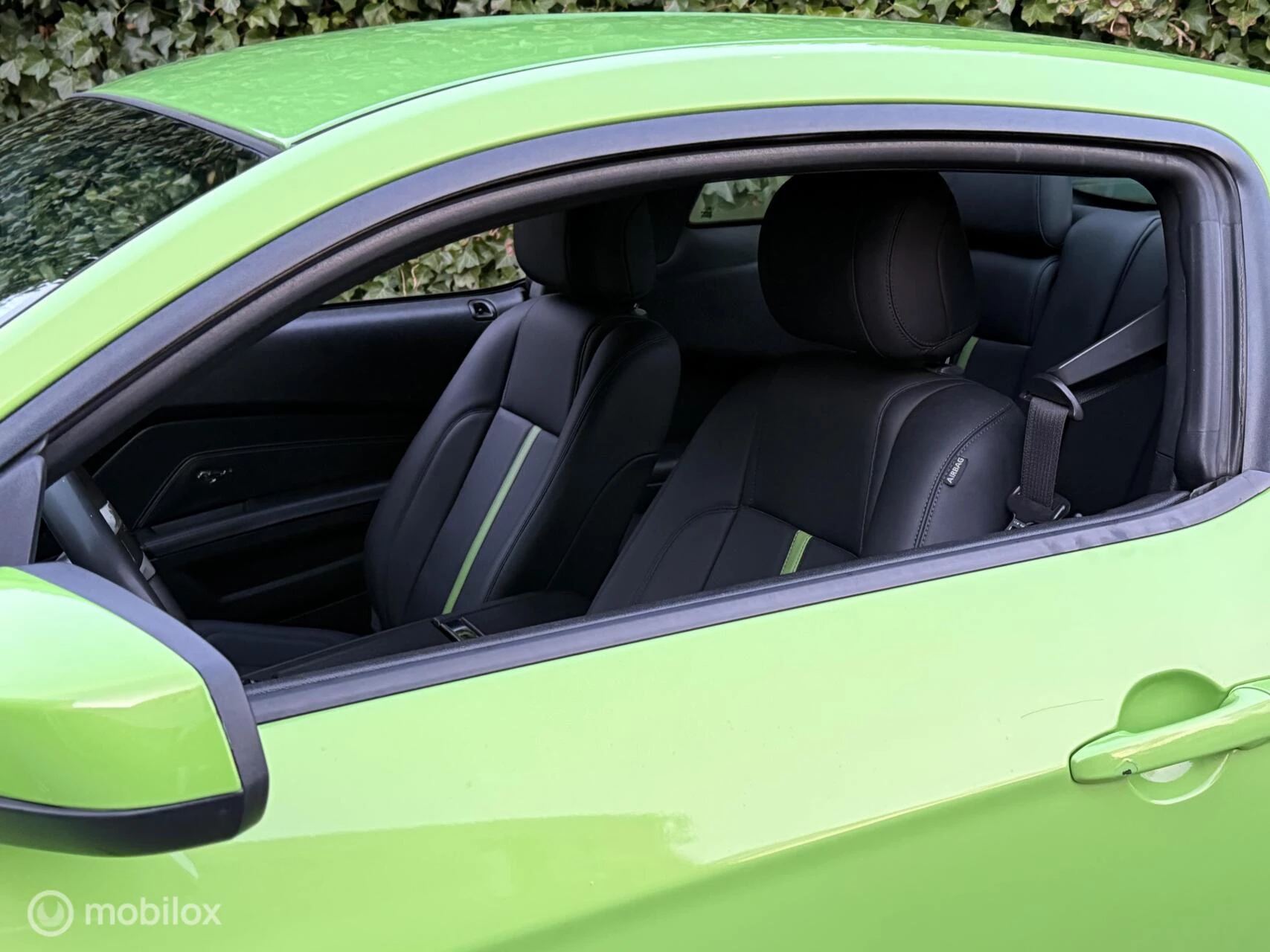 Hoofdafbeelding Ford Mustang