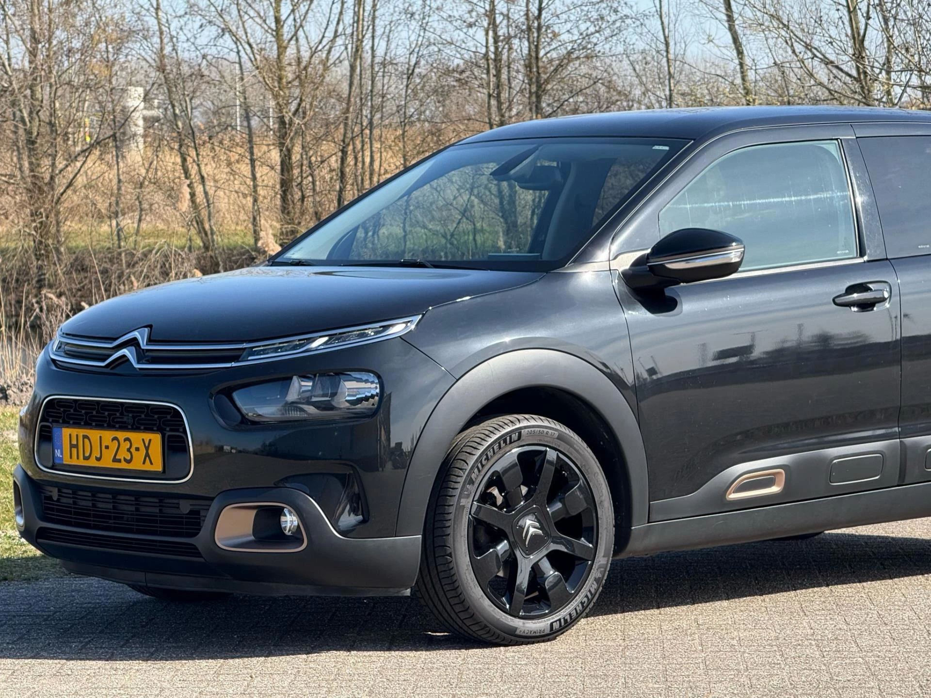 Hoofdafbeelding Citroën C4 Cactus