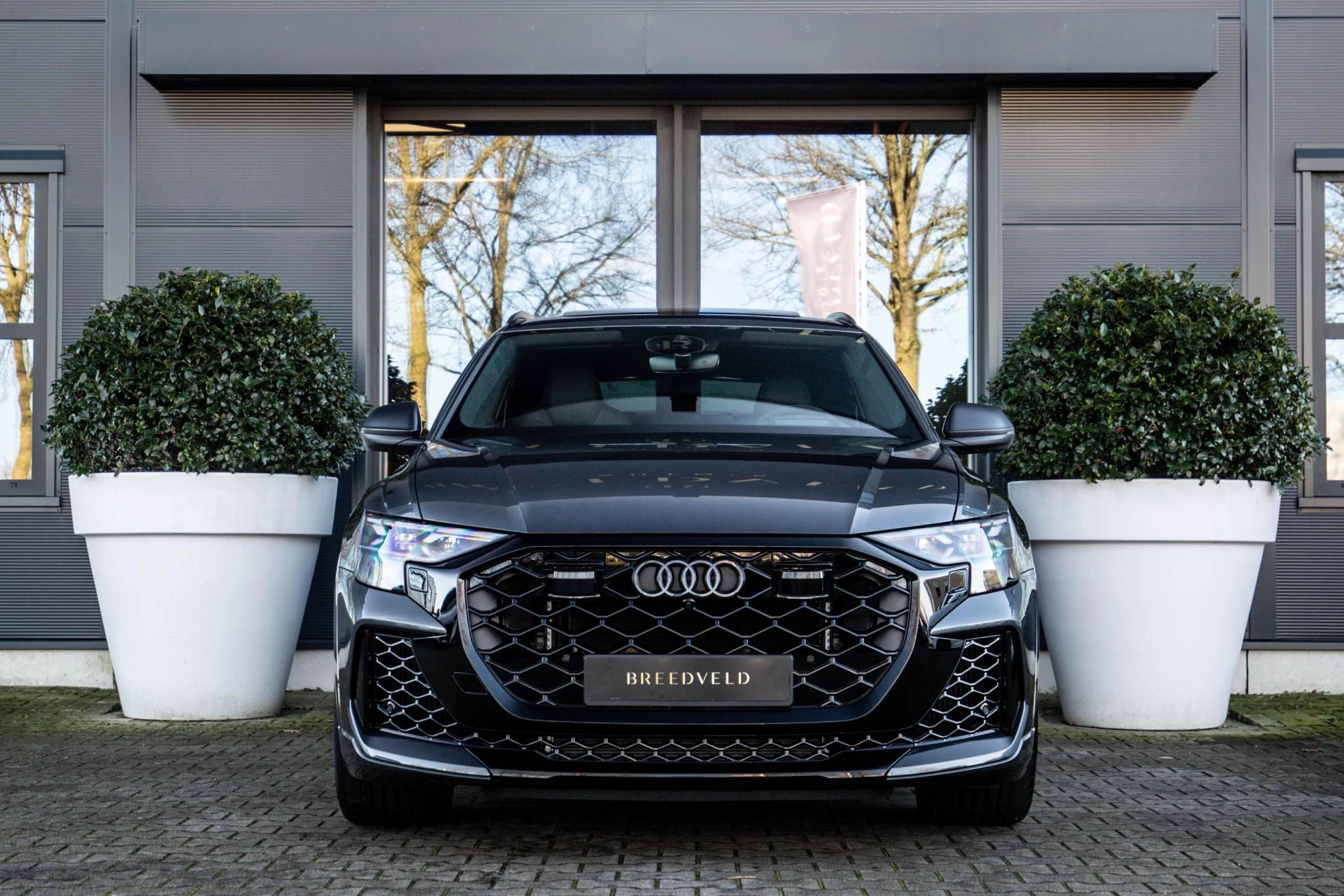 Hoofdafbeelding Audi RSQ8