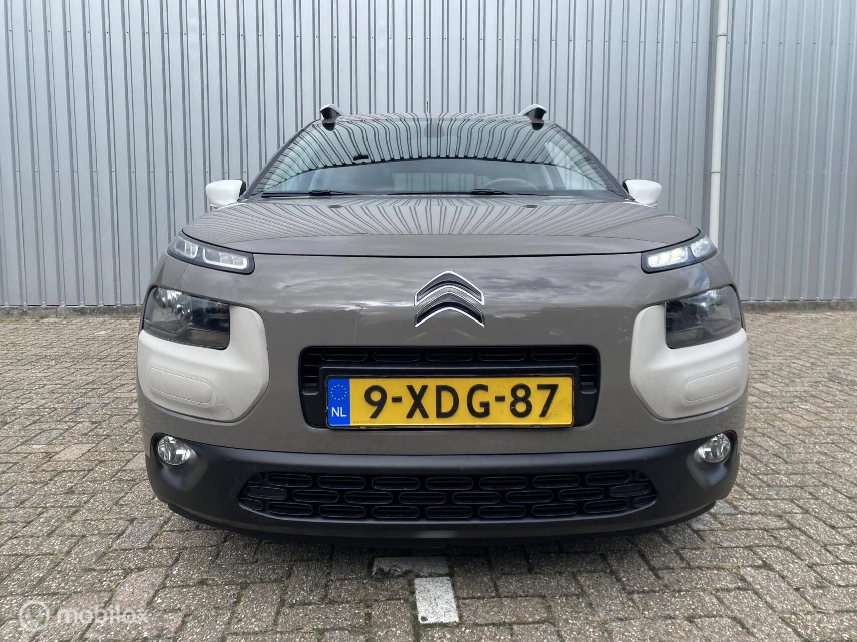 Hoofdafbeelding Citroën C4 Cactus