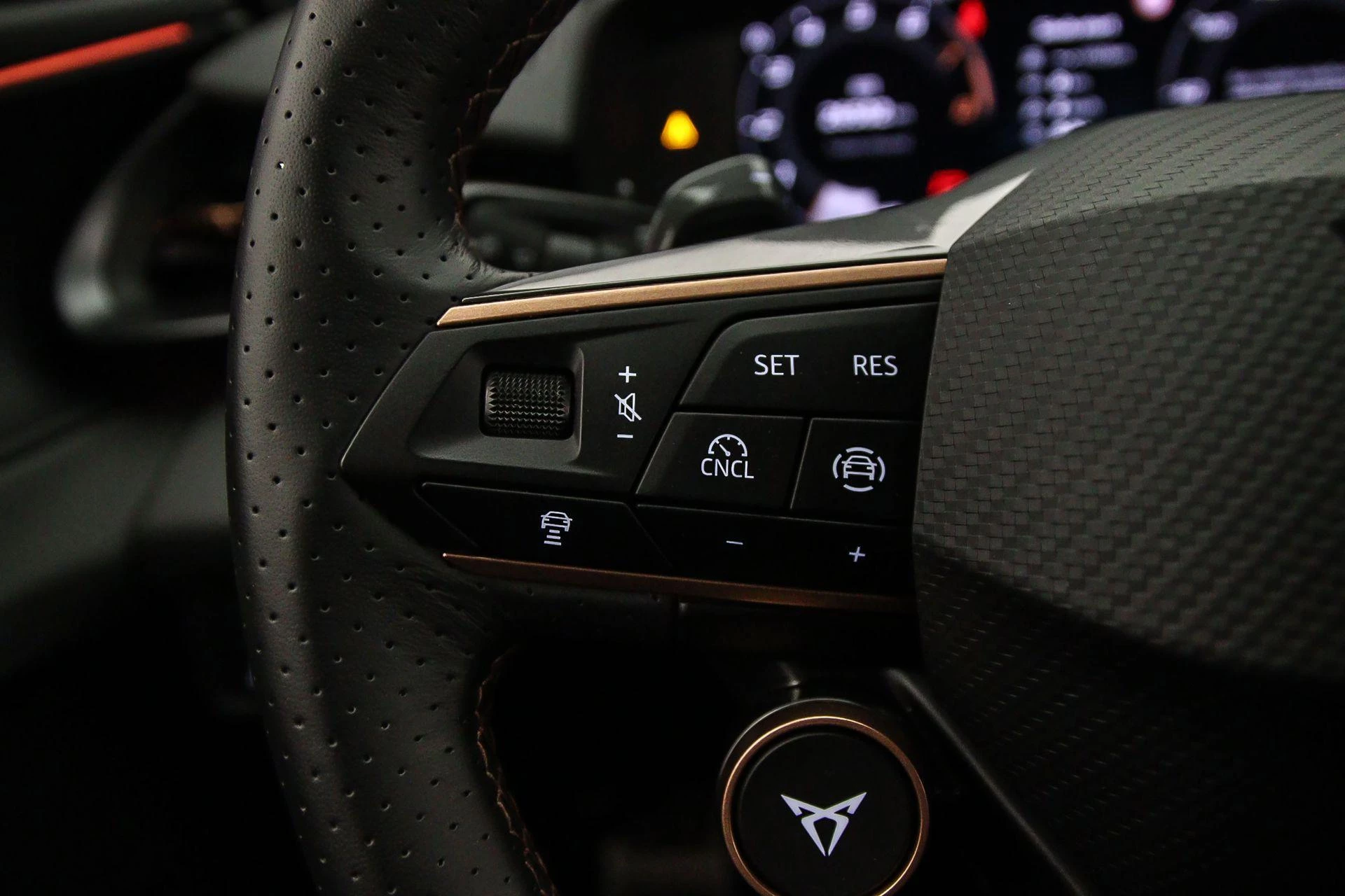 Hoofdafbeelding CUPRA Terramar